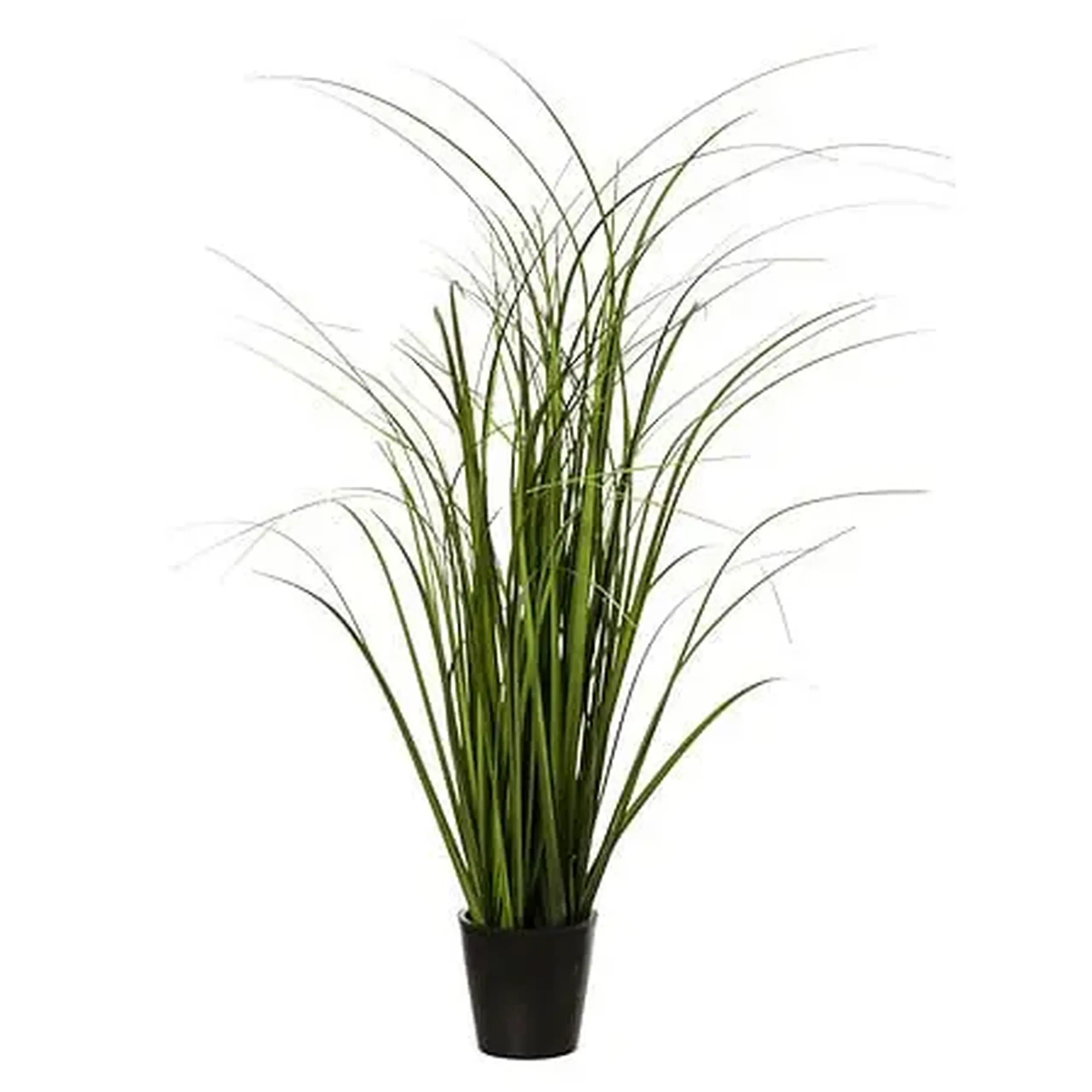 Compoziție florală GRASS