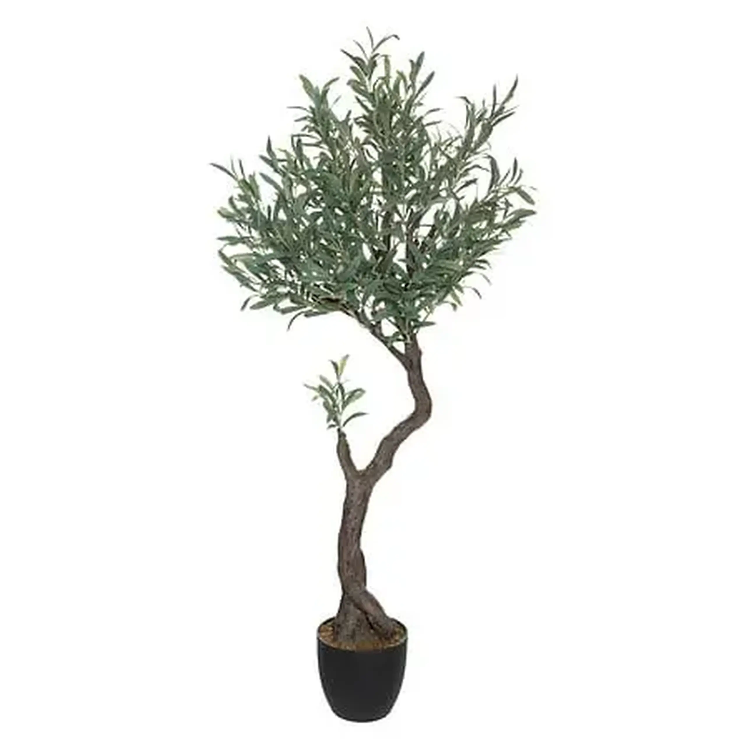 Copac OLIVE H150