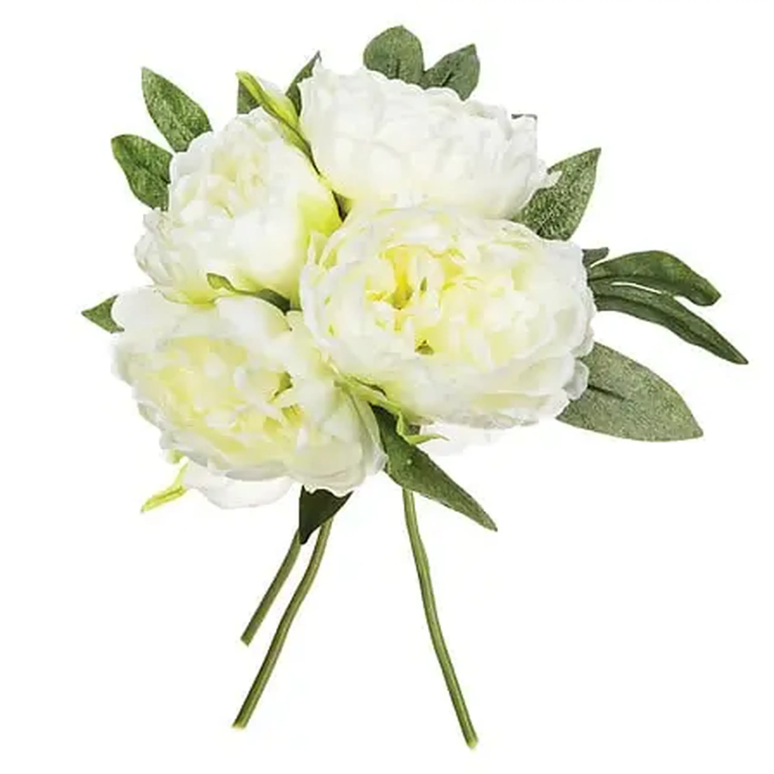 Buchet bujori