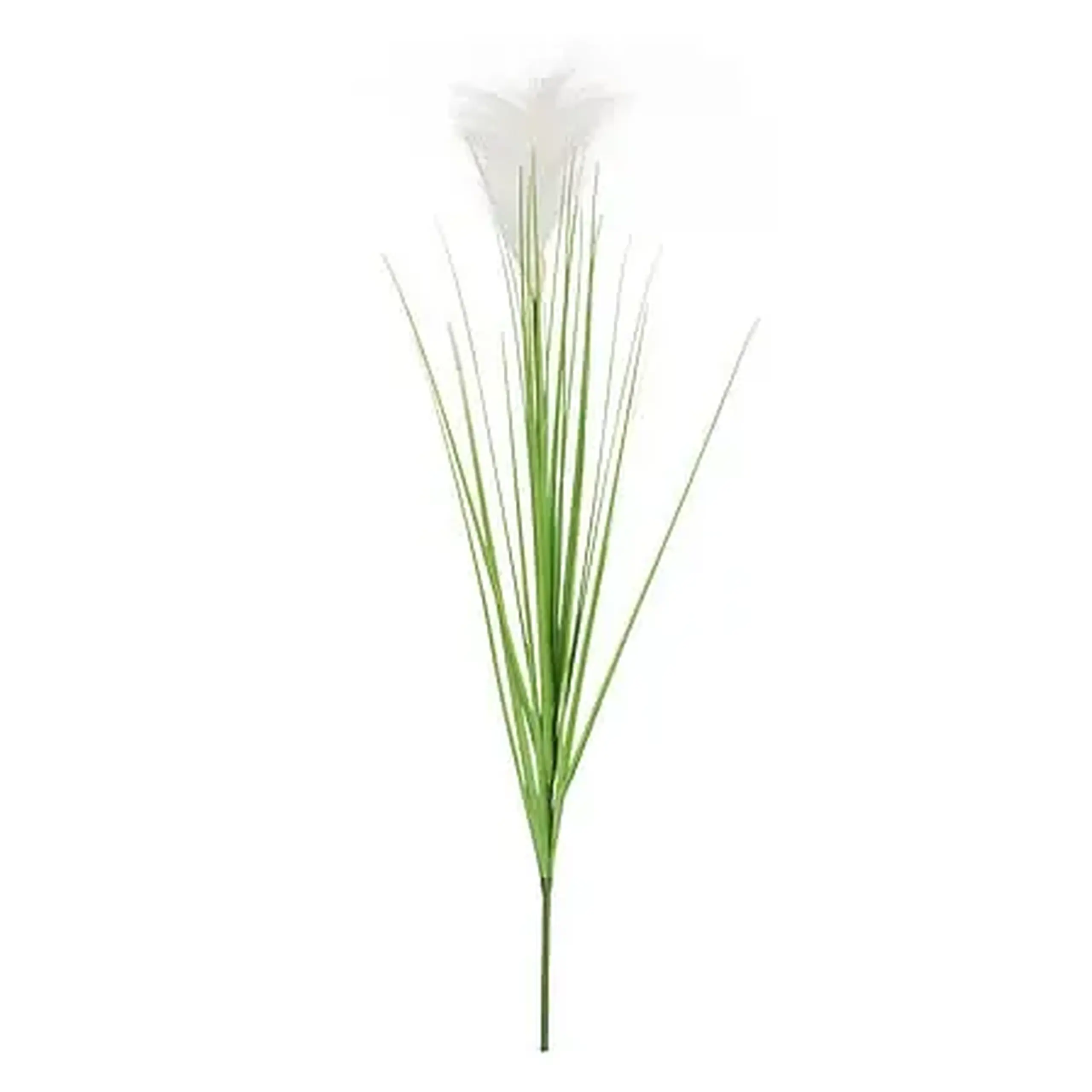 Floare decorativă