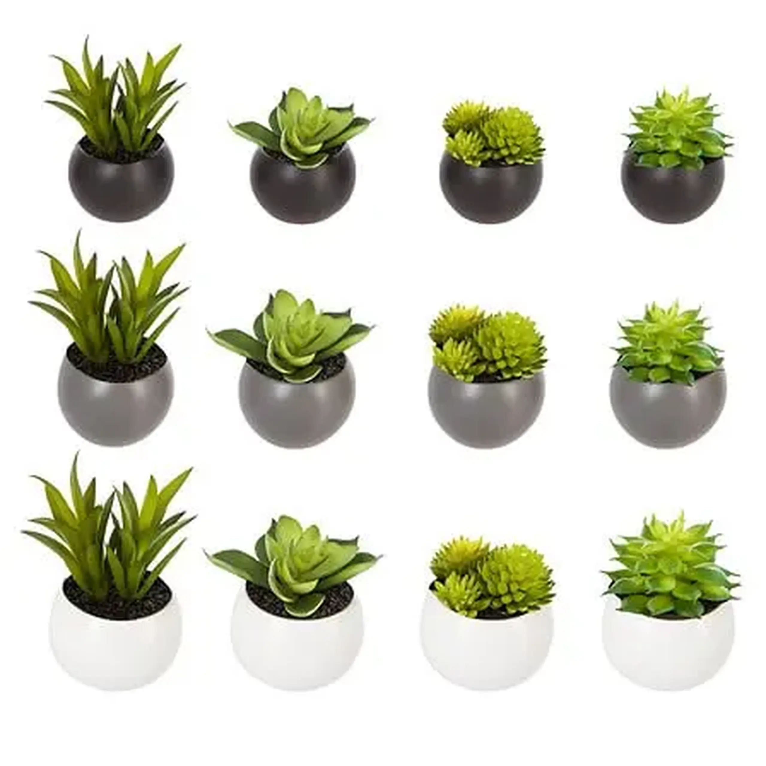 Plantă decorativă H5