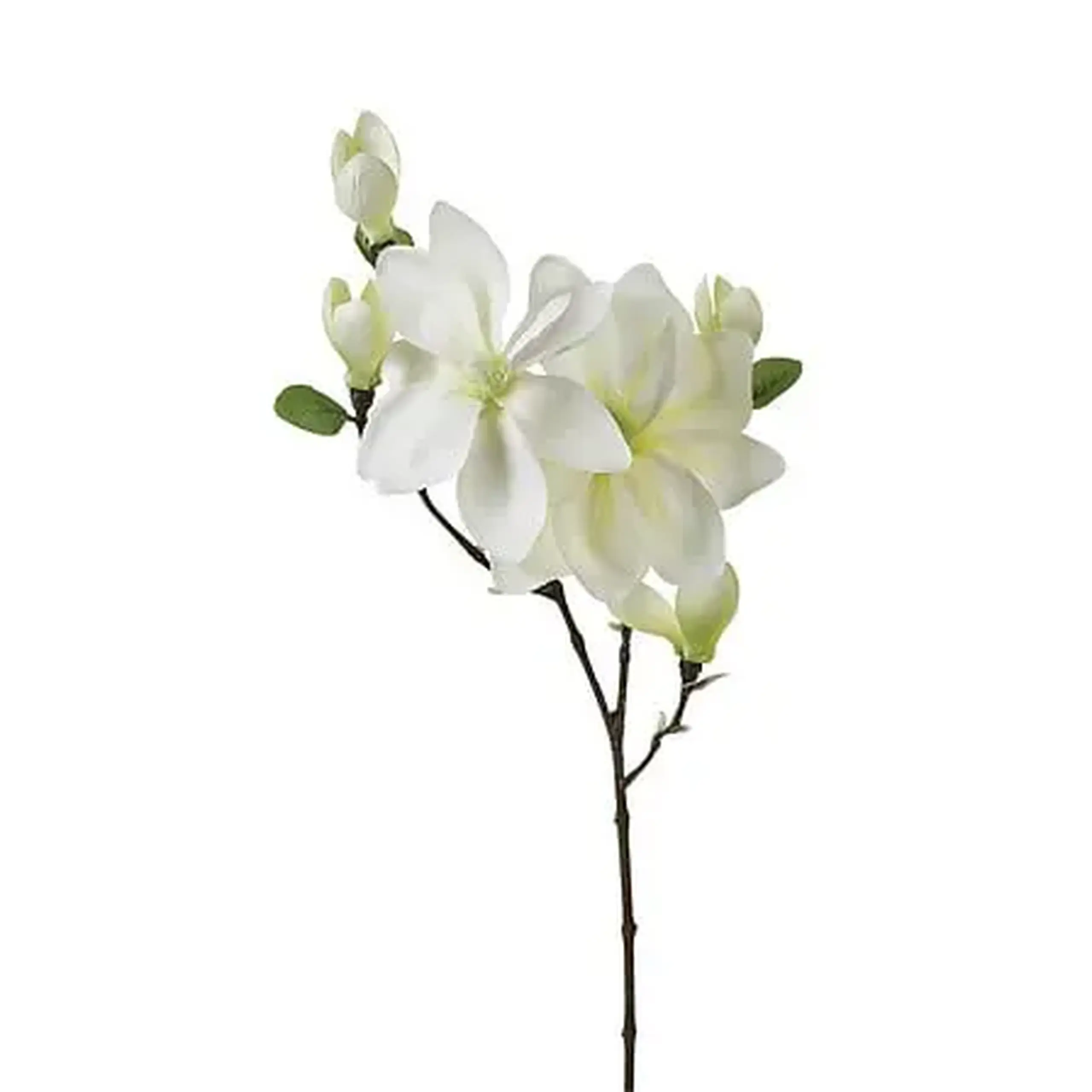 Crenguță decorativă MAGNOLIA H83