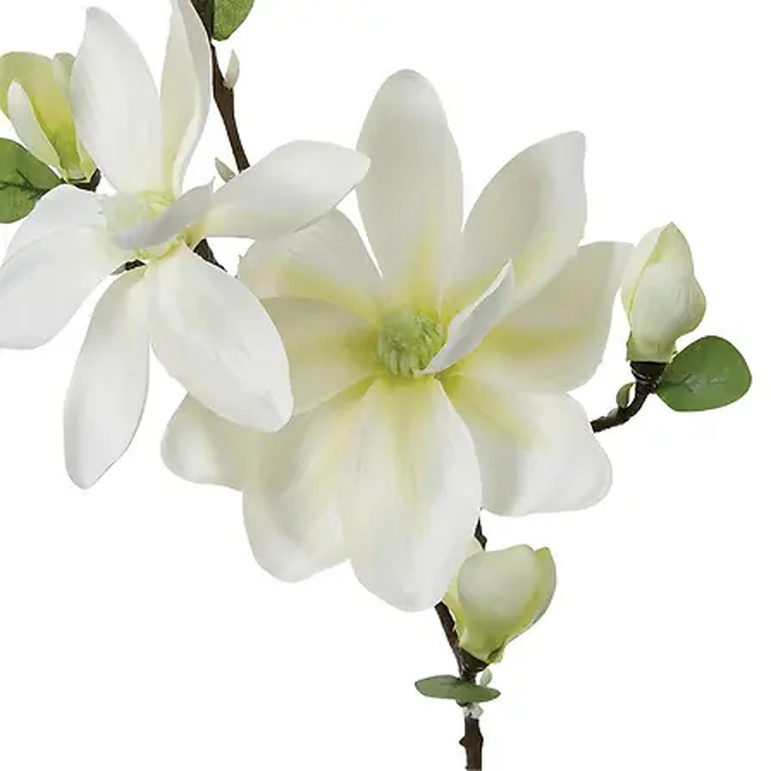 Crenguță decorativă MAGNOLIA H83