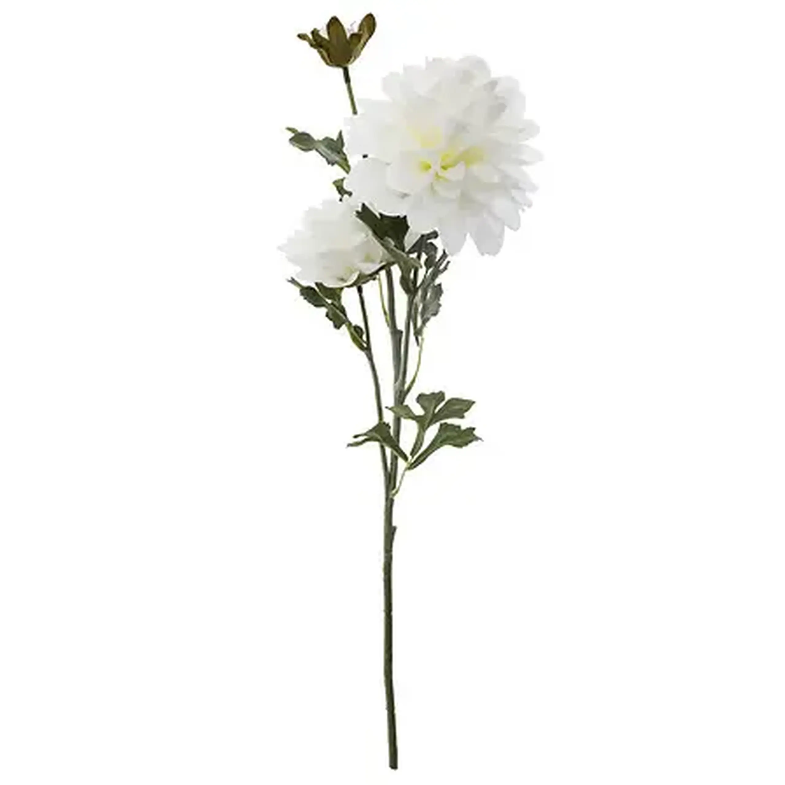 Crenguță cu flori decorative DAHLIA H62