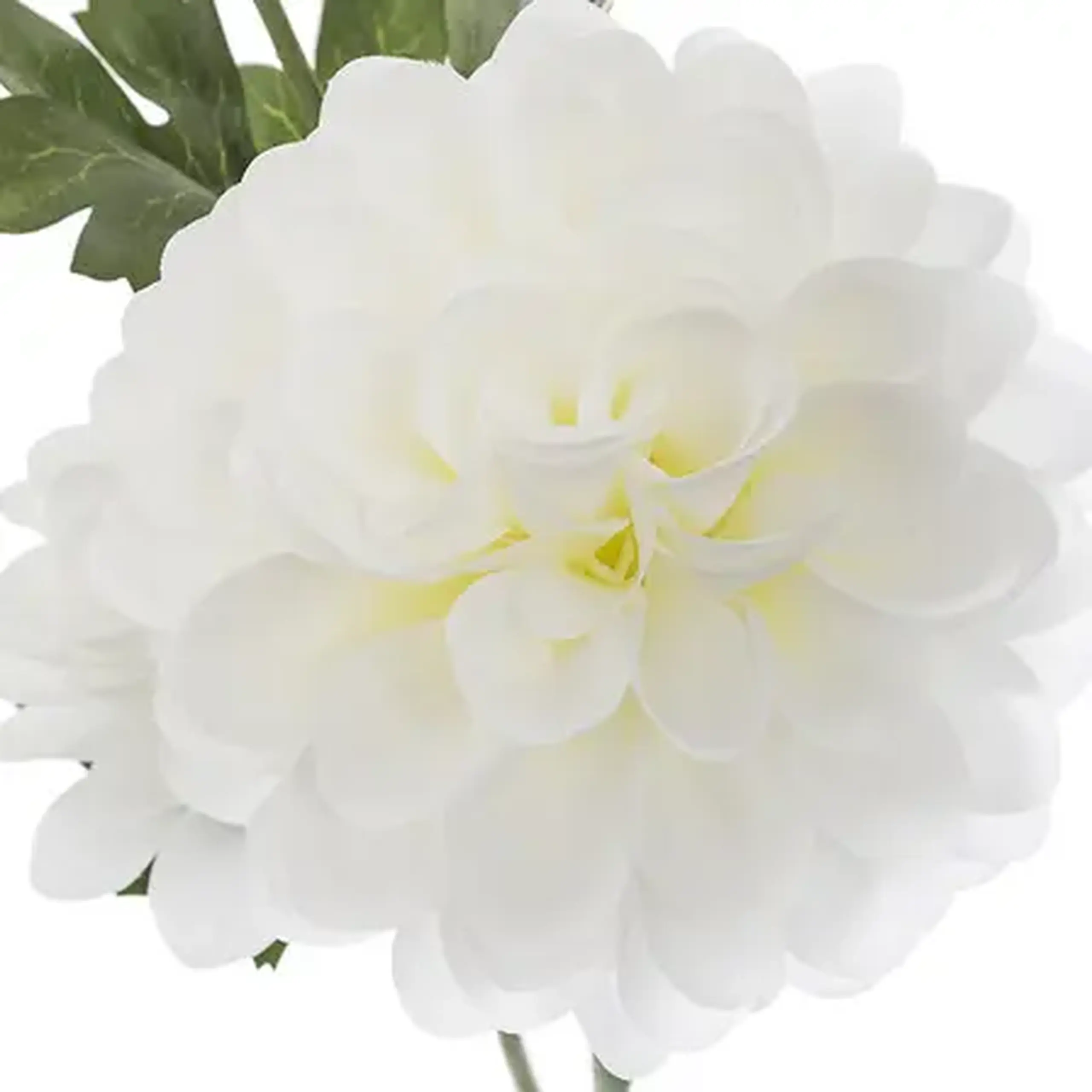 Crenguță cu flori decorative DAHLIA H62