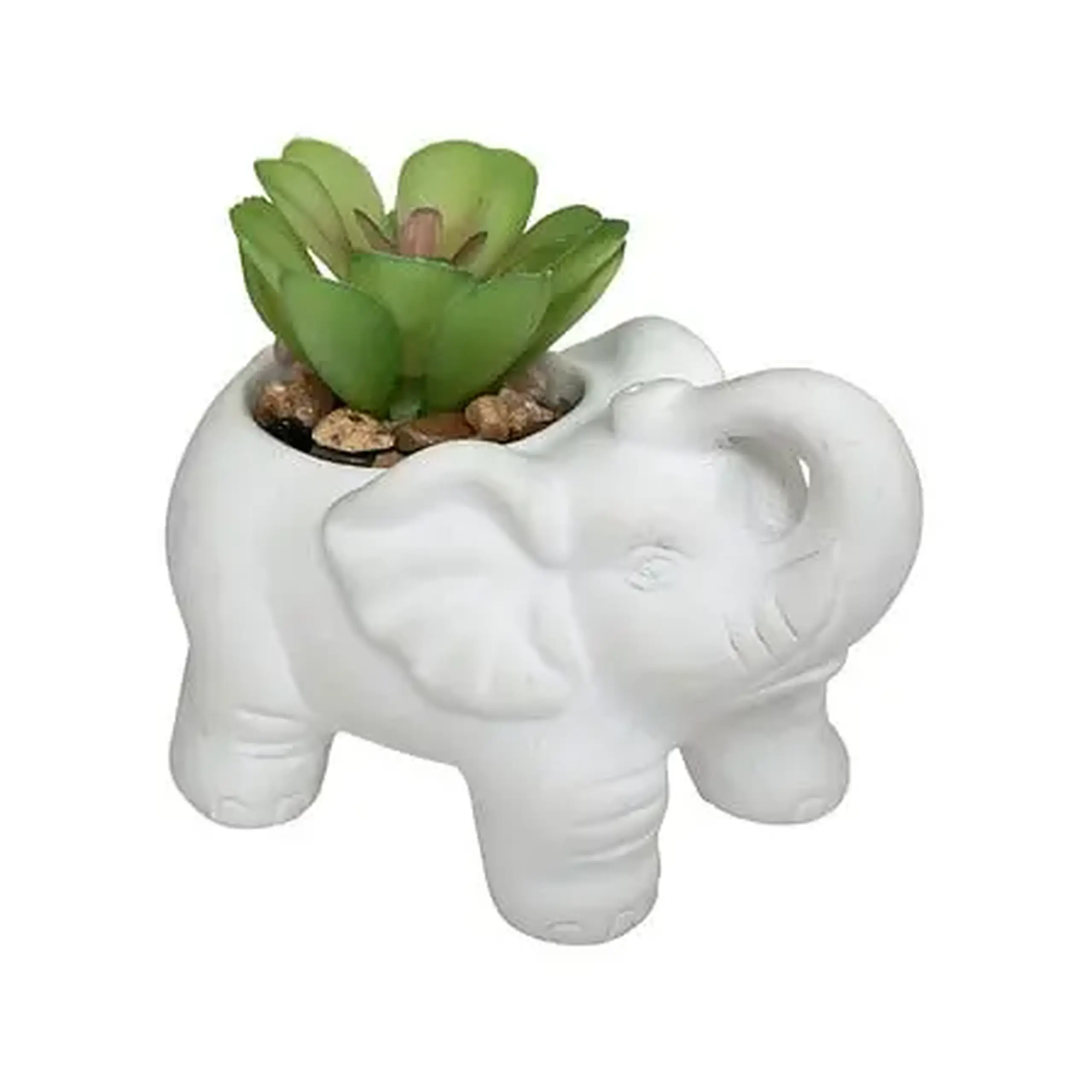 Plantă decorativă ELEPHAMIO H10