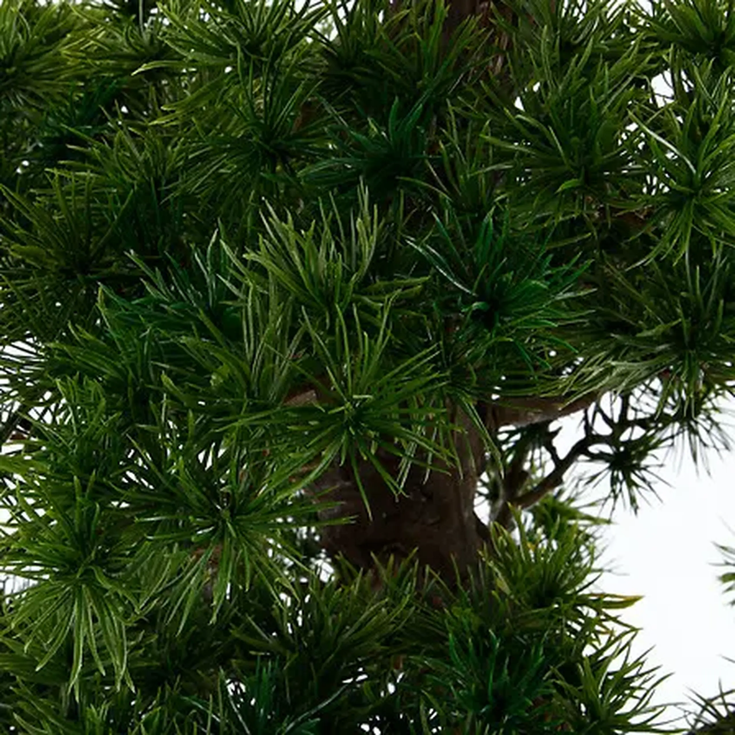 Plantă artificială in ghiveci BONSAI H 149