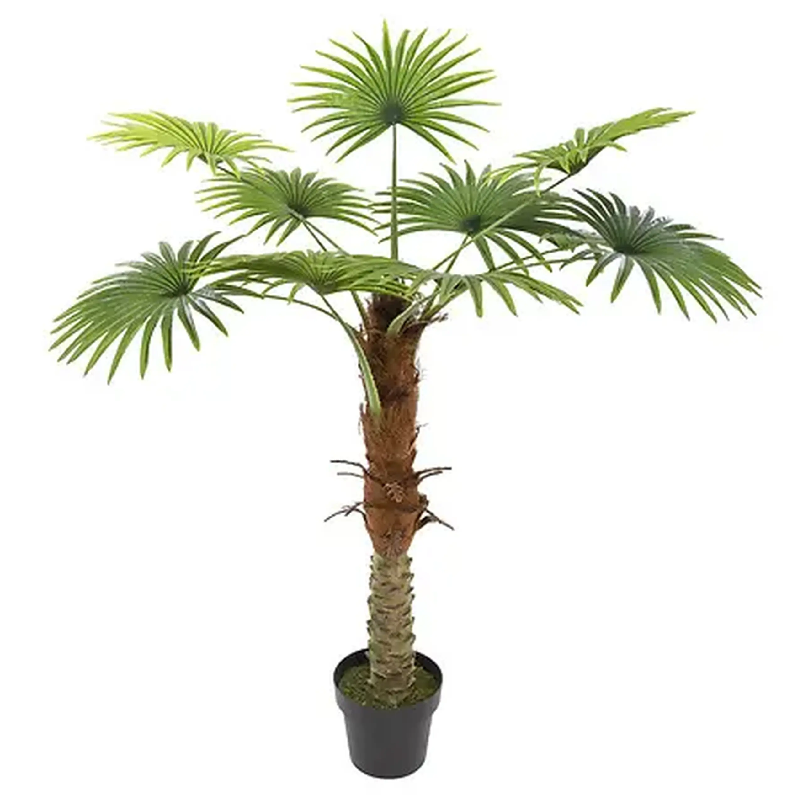 Compoziție florală PALMIER H120
