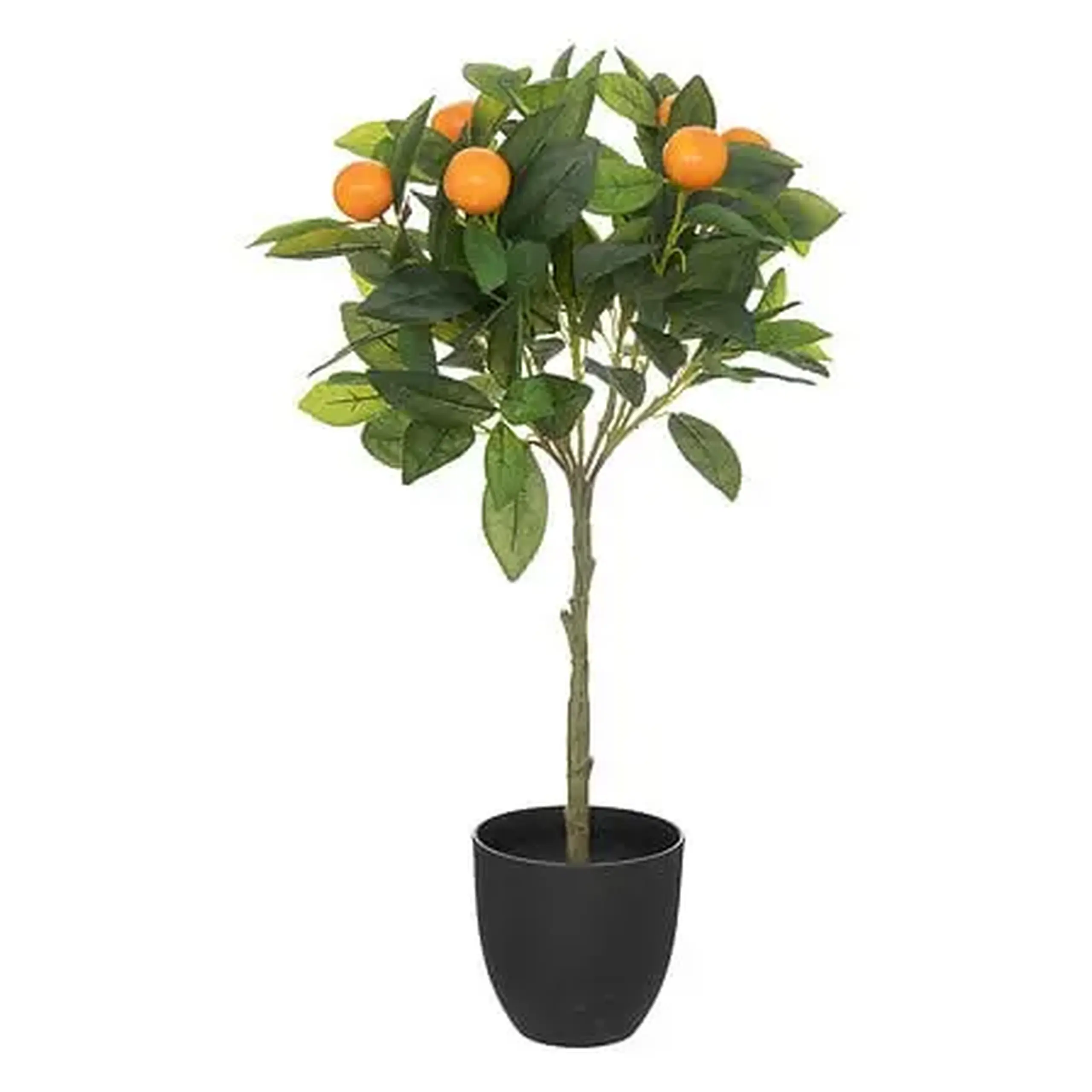 Compoziție florata ORANGER H58