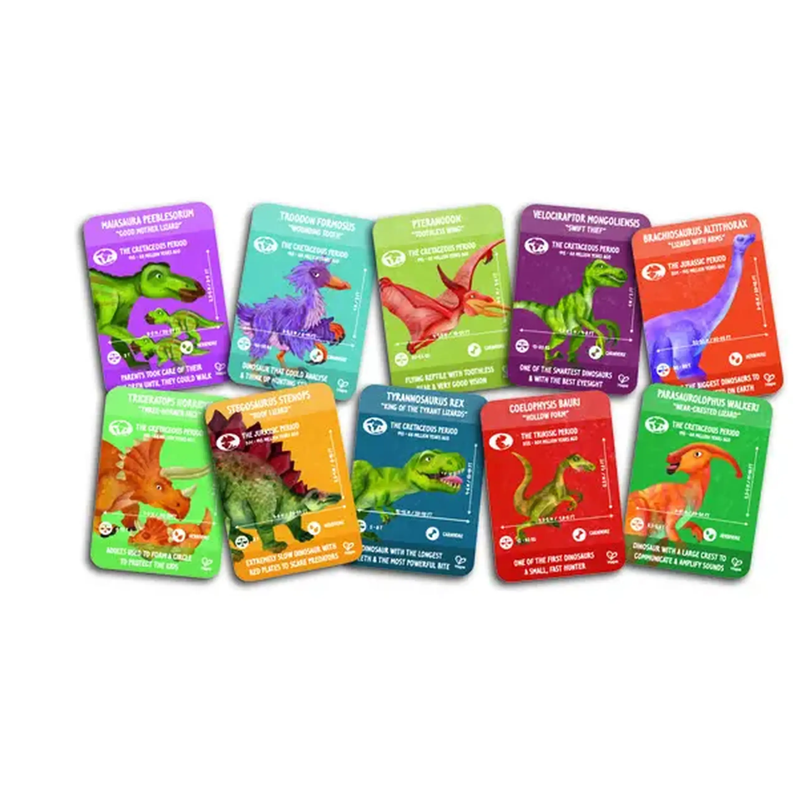 Puzzle 1,5 m "Dinozauri", 210 elem.