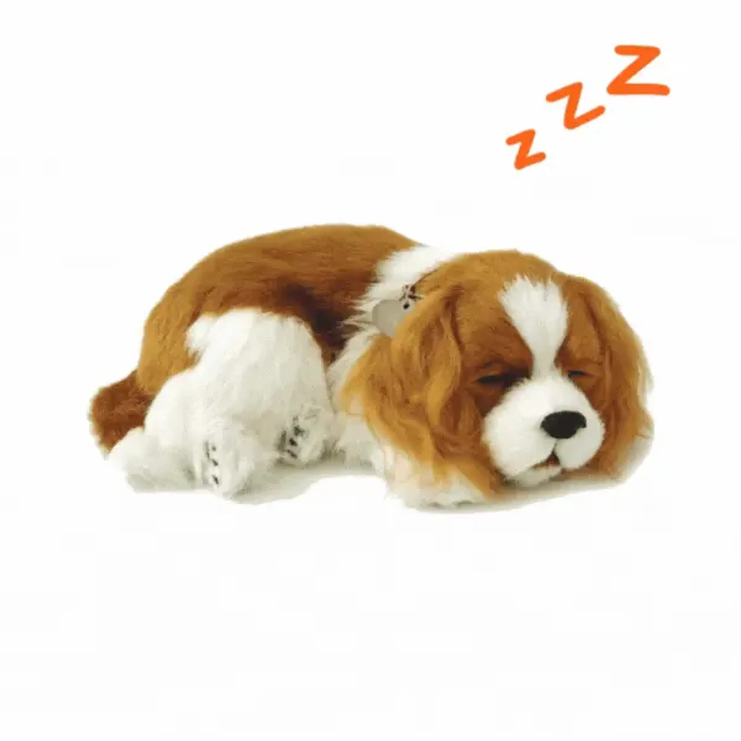 Cățeluș "Cavalier King Charles” cu imitație de respirație