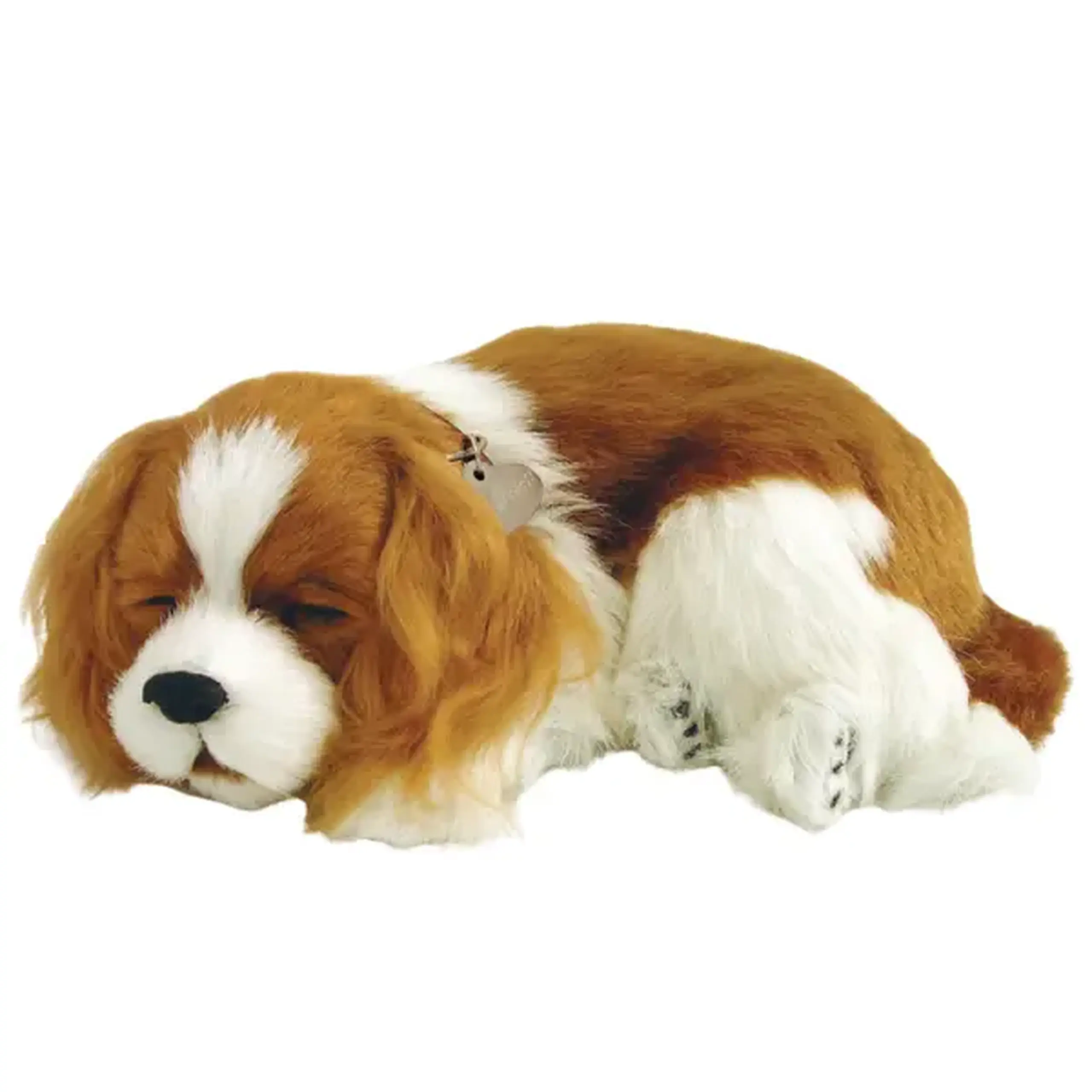 Cățeluș "Cavalier King Charles” cu imitație de respirație