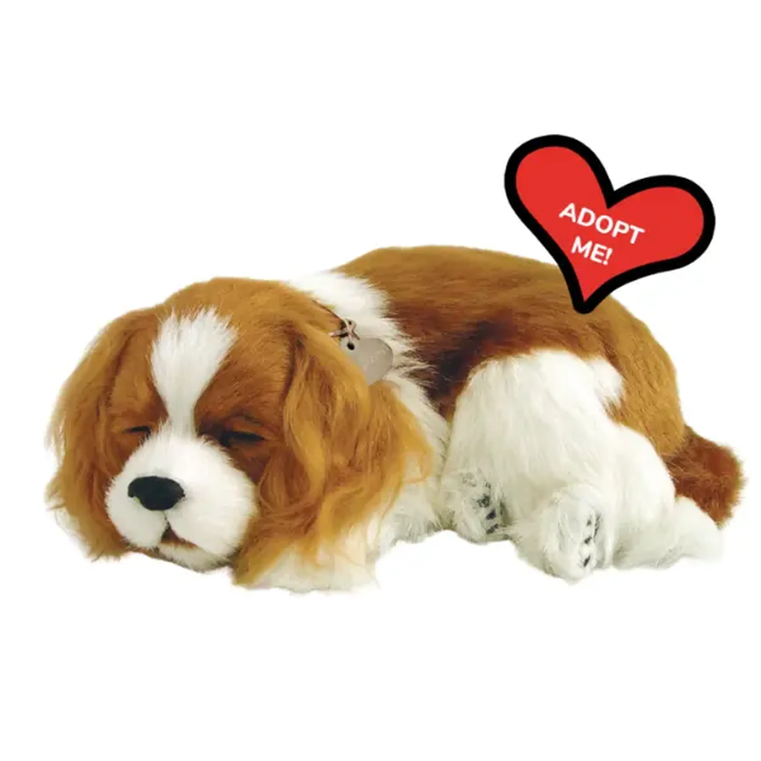 Cățeluș "Cavalier King Charles” cu imitație de respirație