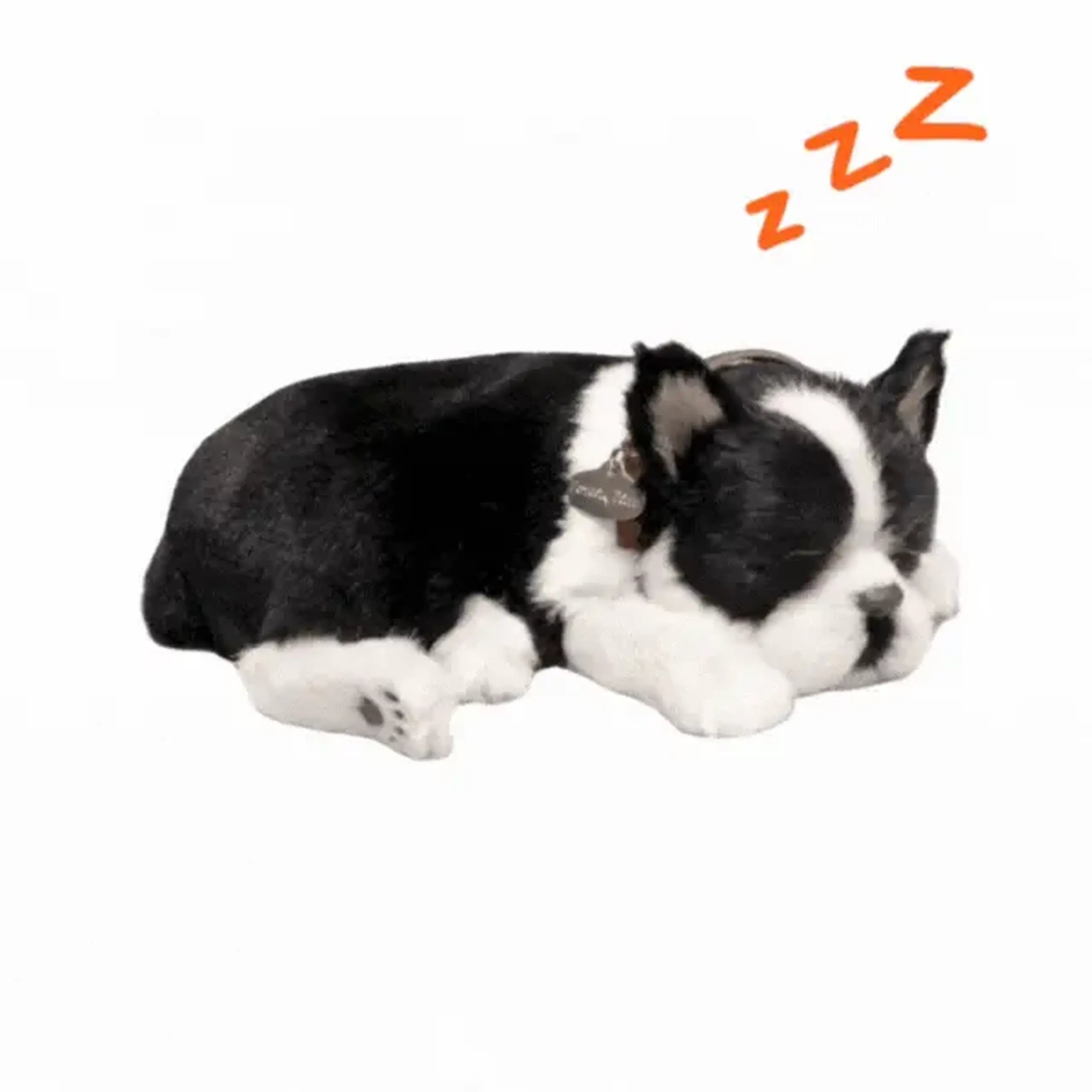 Cățeluș „Boston Terrier” cu imitație de respirație