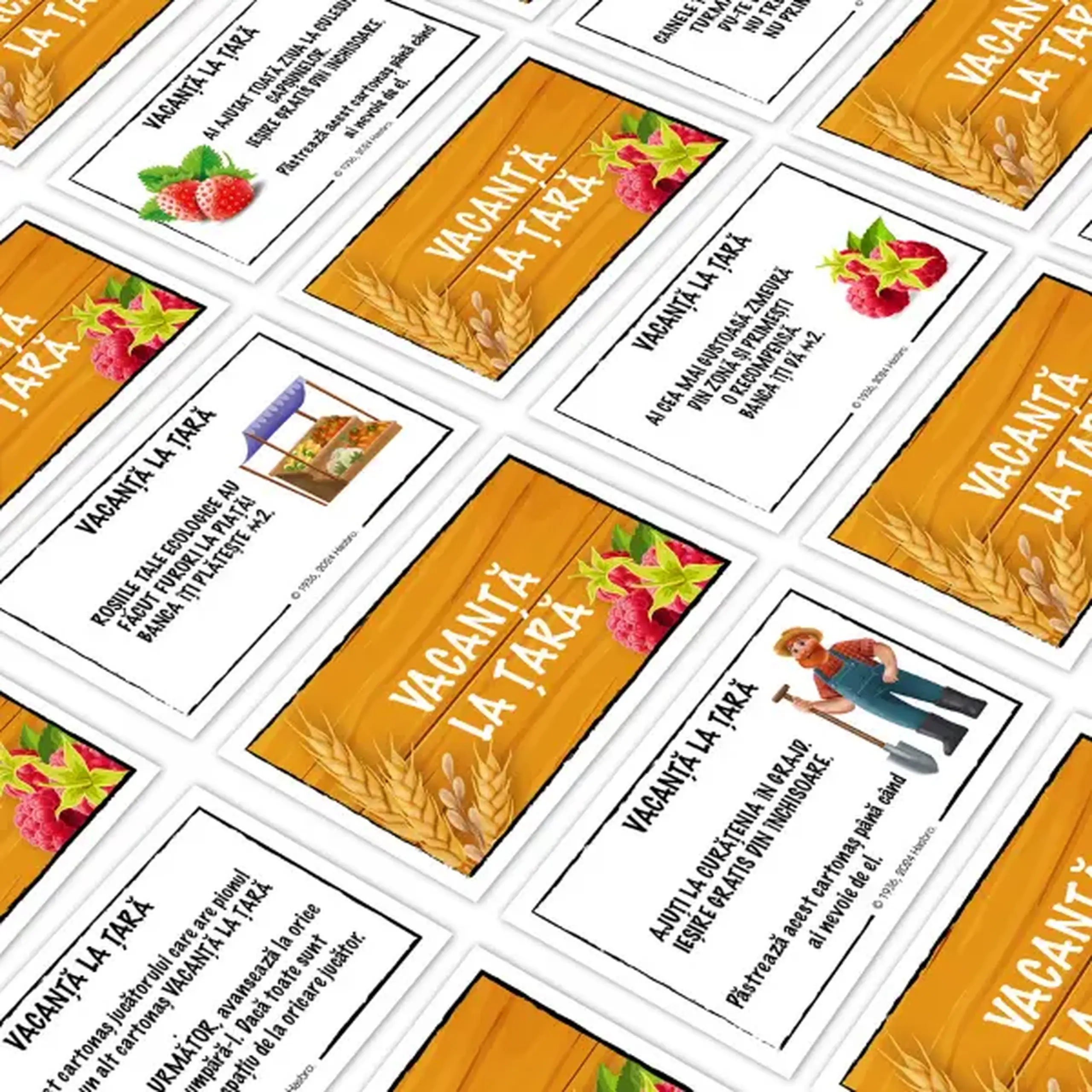 Joc de masă Monopoly Junior "Ferma" (ro)