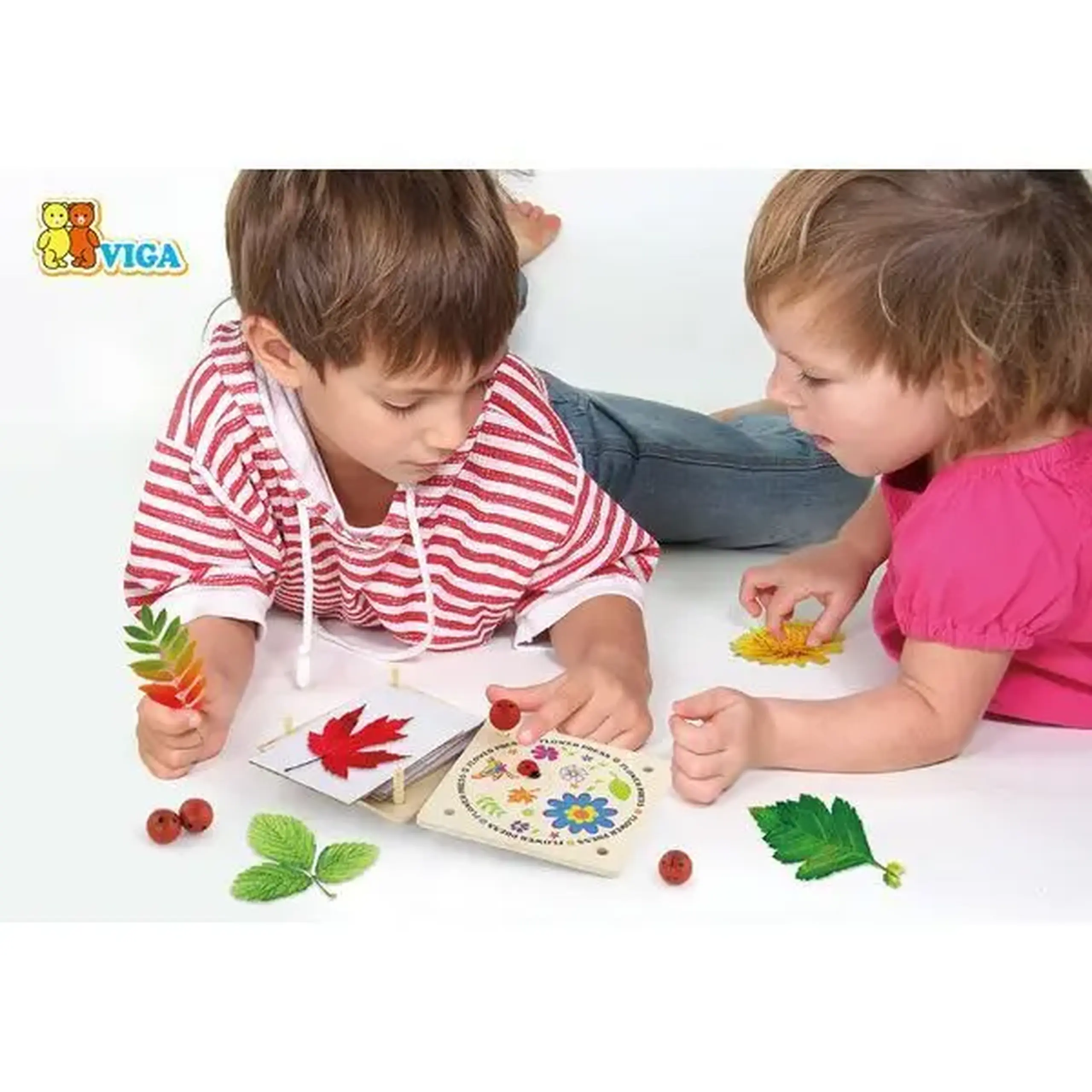 Set de dezvoltare presă pentru flori - Flower Press