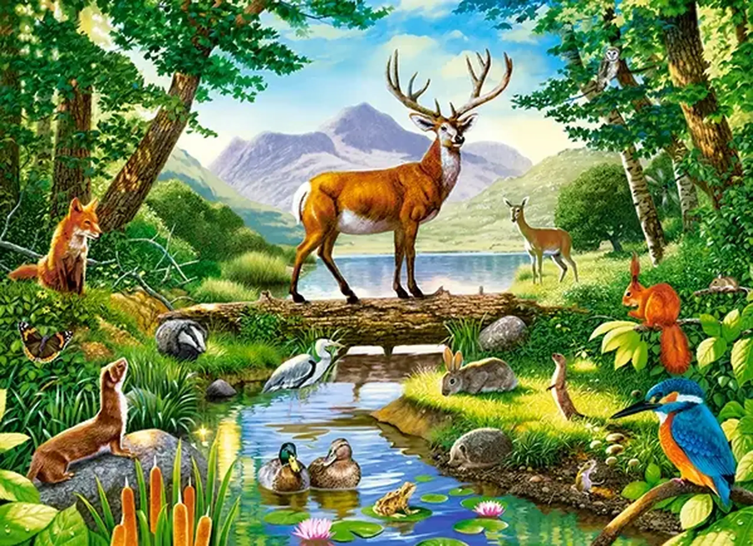Puzzle 300 elemente