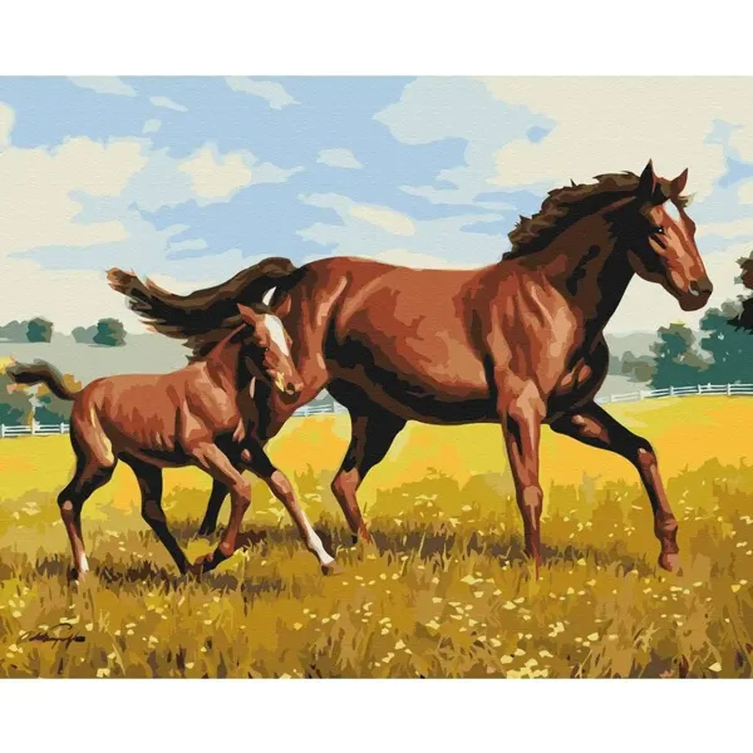 Pictură pe numere 40x50 cm (fără cutie) - Galop de familie