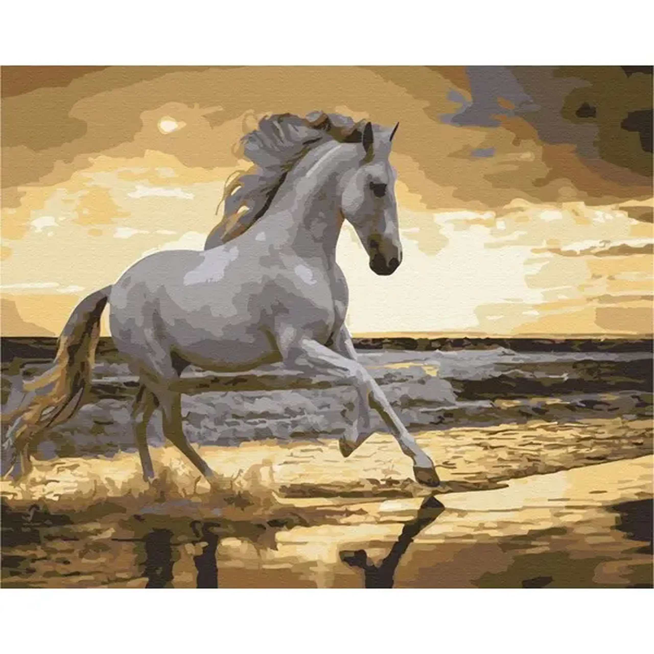 Pictură pe numere 40x50 cm (fără cutie) - Trapând pe coastă