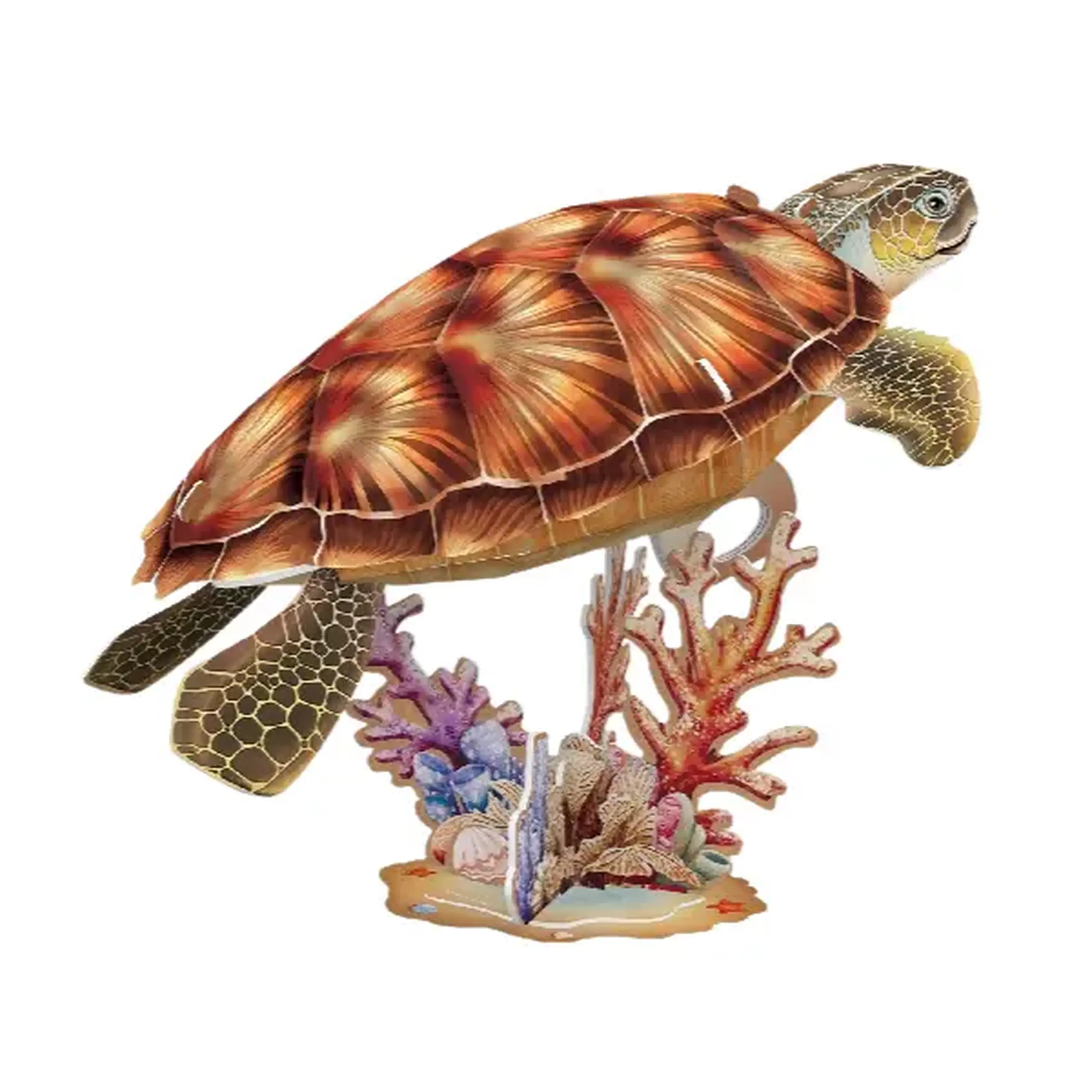 3D puzzle "Broască țestoasă", 31 elemente