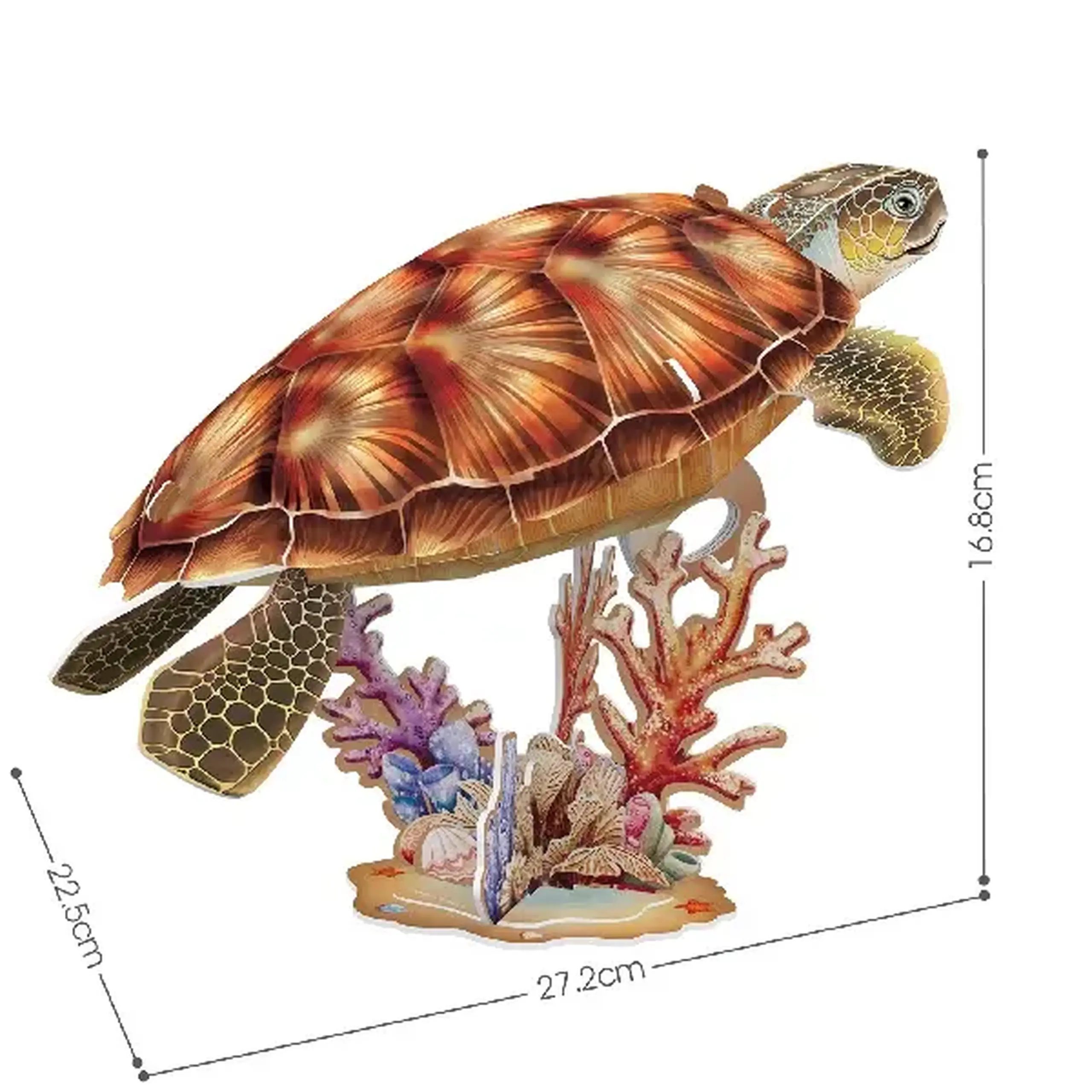 3D puzzle "Broască țestoasă", 31 elemente