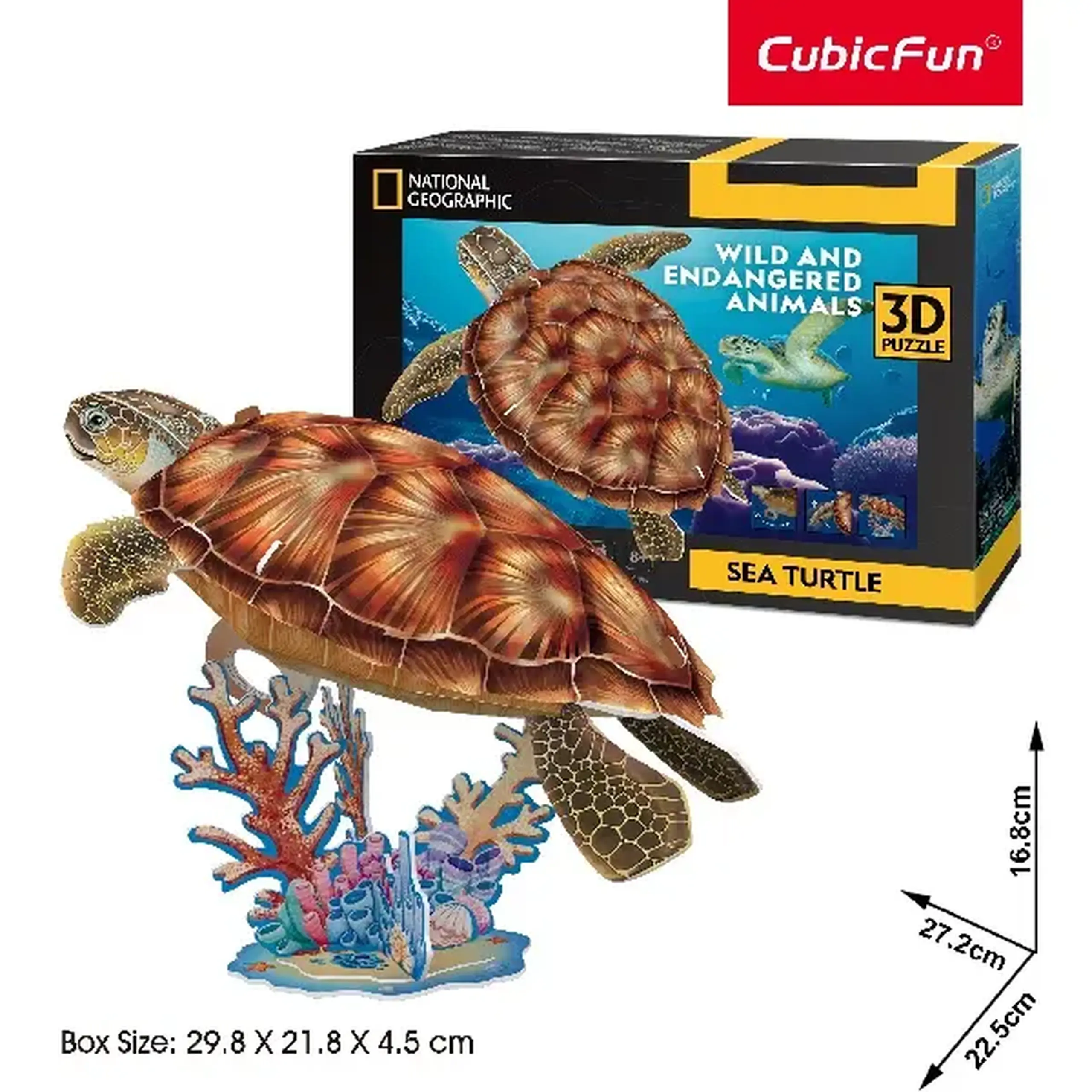 3D puzzle "Broască țestoasă", 31 elemente