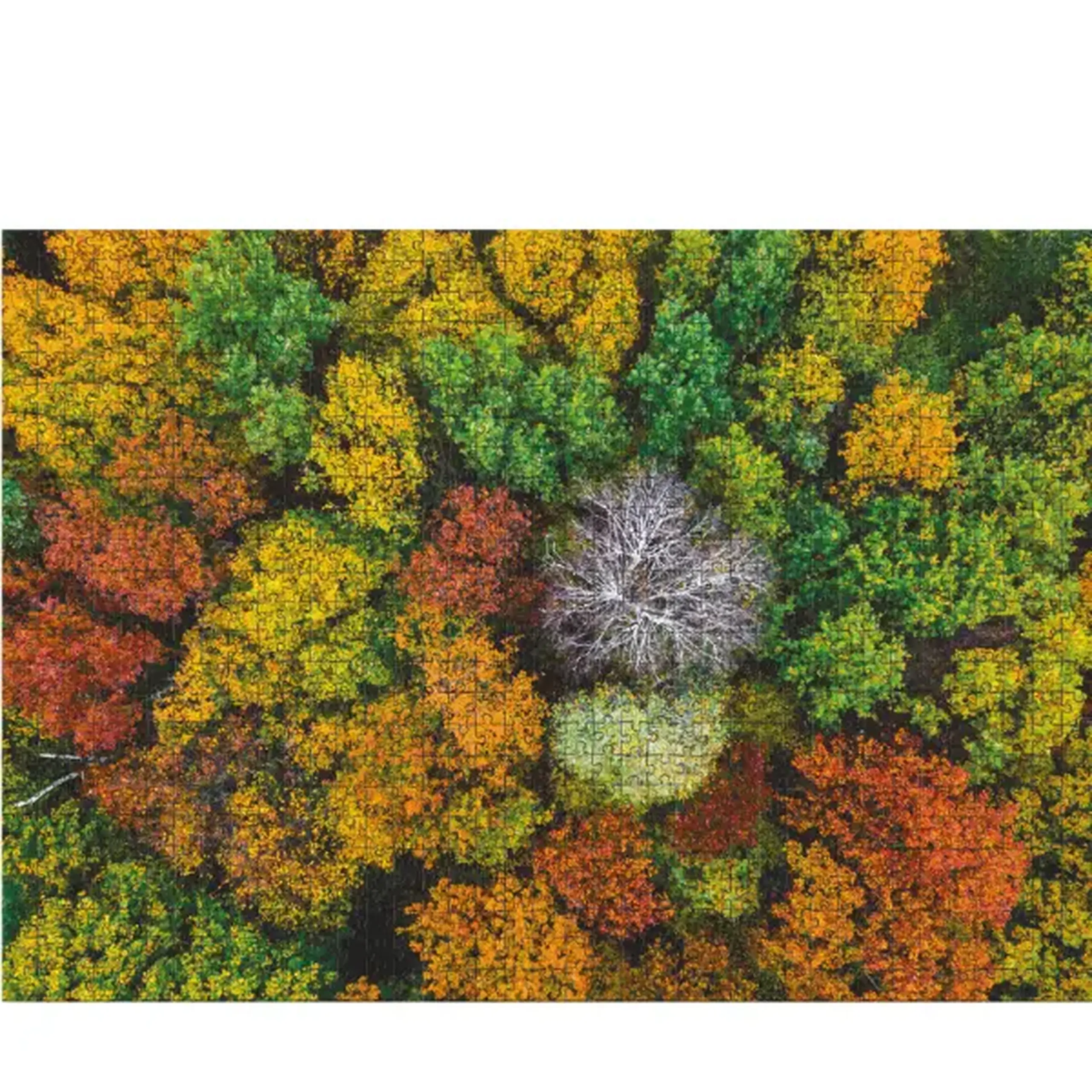 Puzzle "Satul Dzembronya. Ucraina", seria Peisaje, 1000 elem.