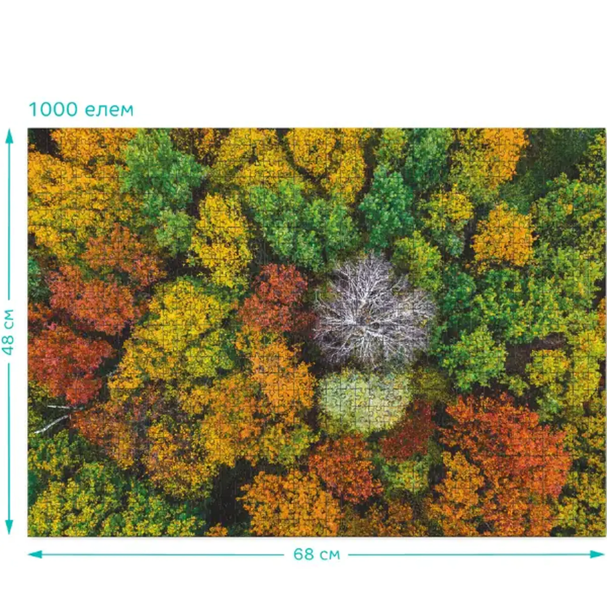 Puzzle "Satul Dzembronya. Ucraina", seria Peisaje, 1000 elem.