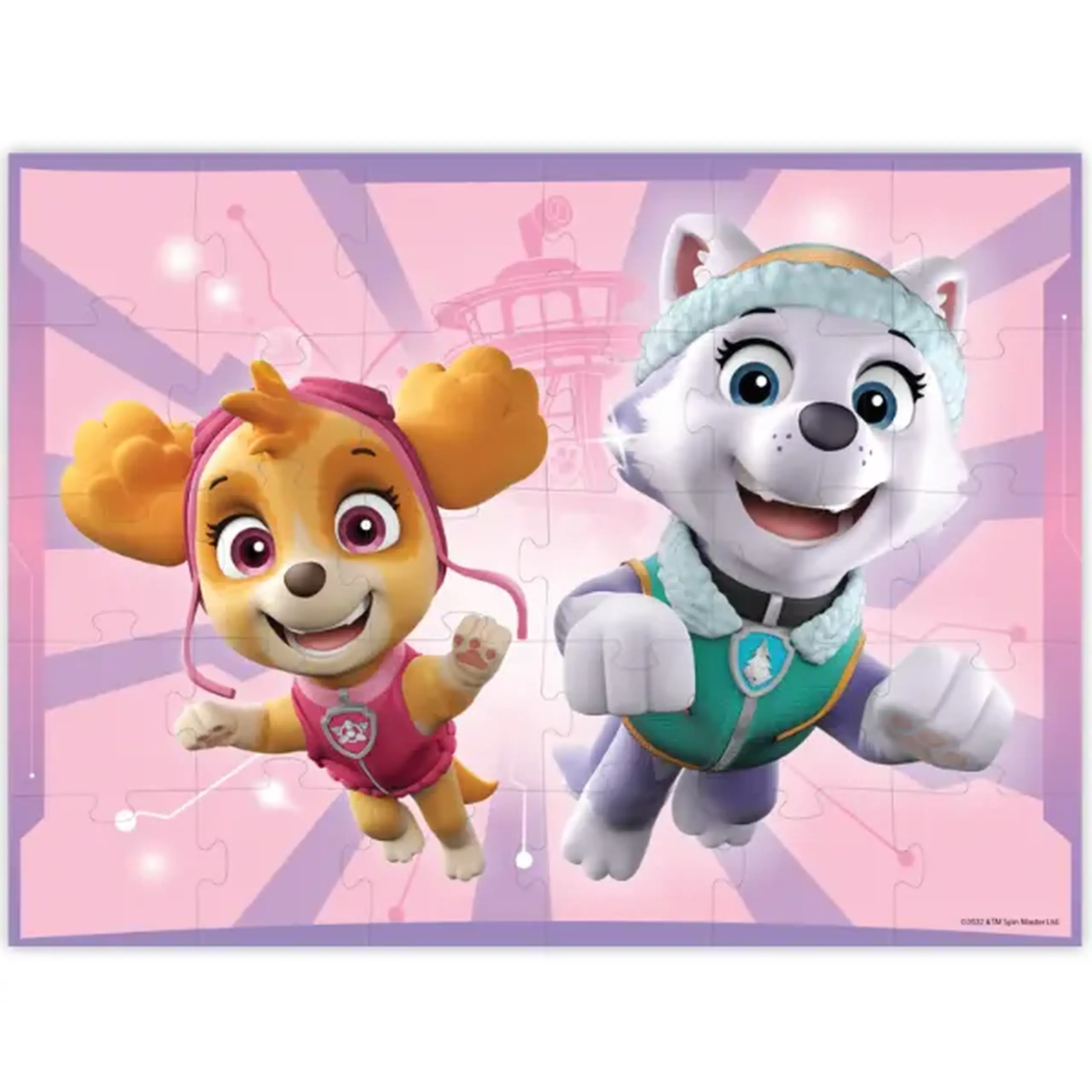 Puzzle "Skye și Everest", seria Patrula cățelușilor, 30 elem.