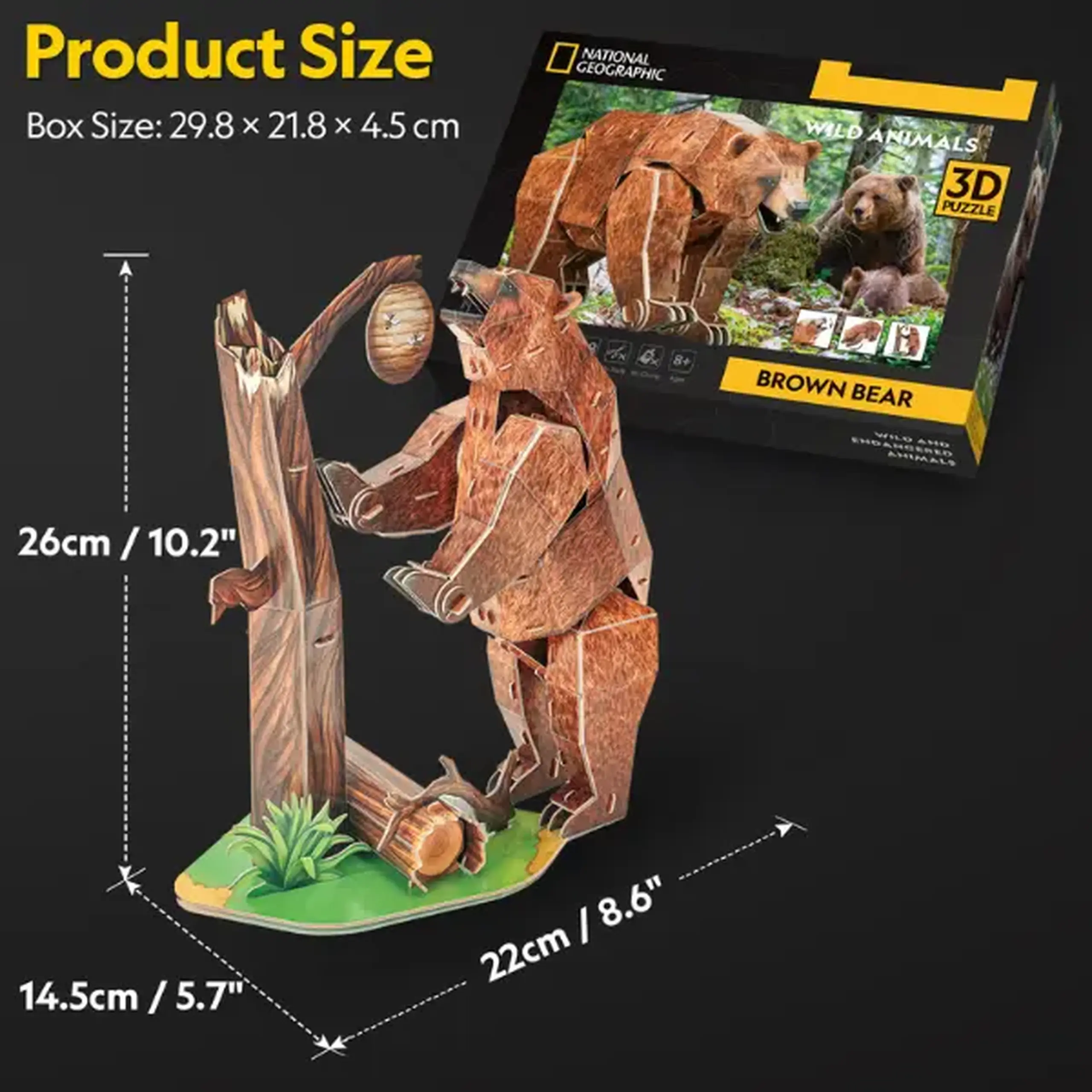 3D puzzle "Urs brun", 88 elemente