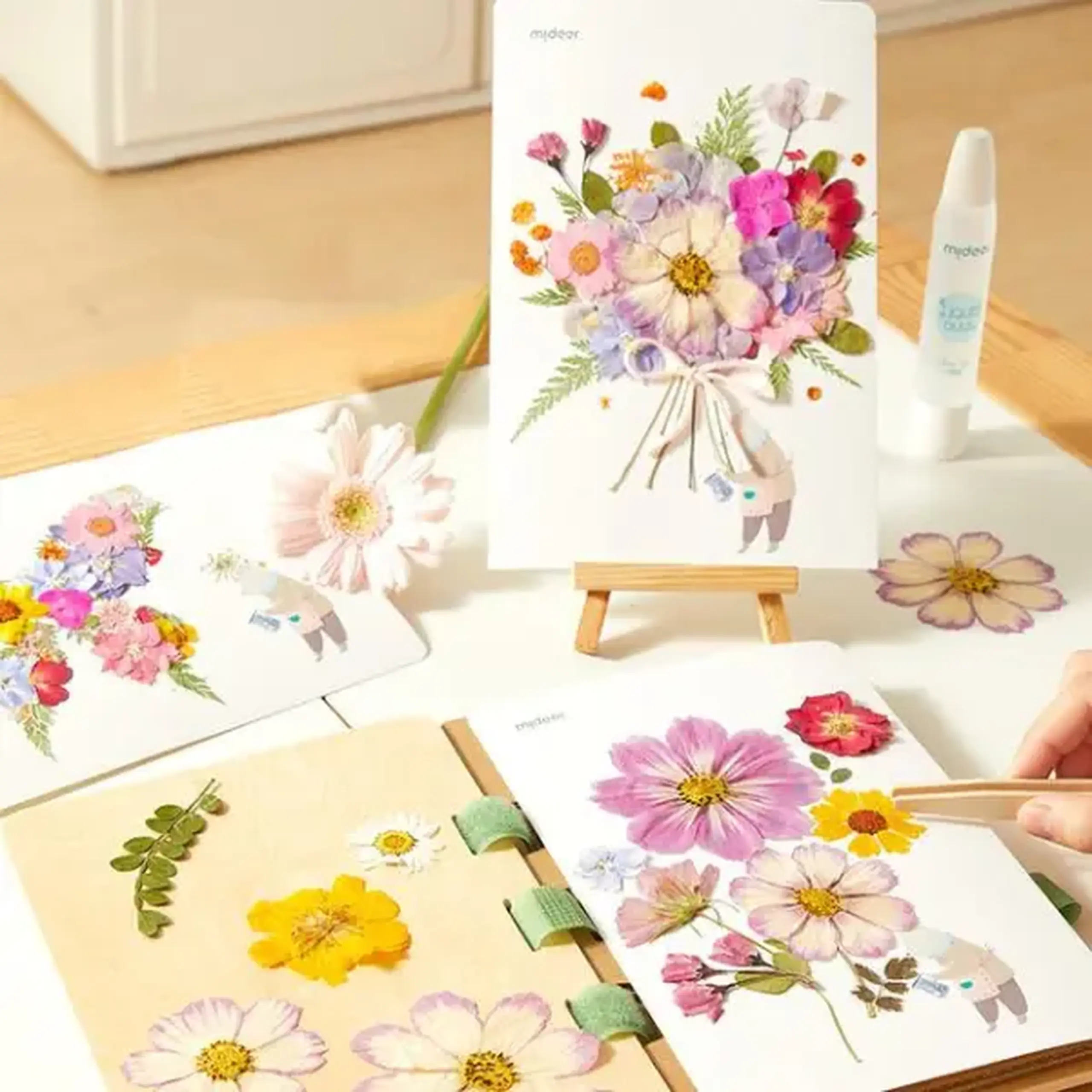 Set de Creație „Descoperim natura”