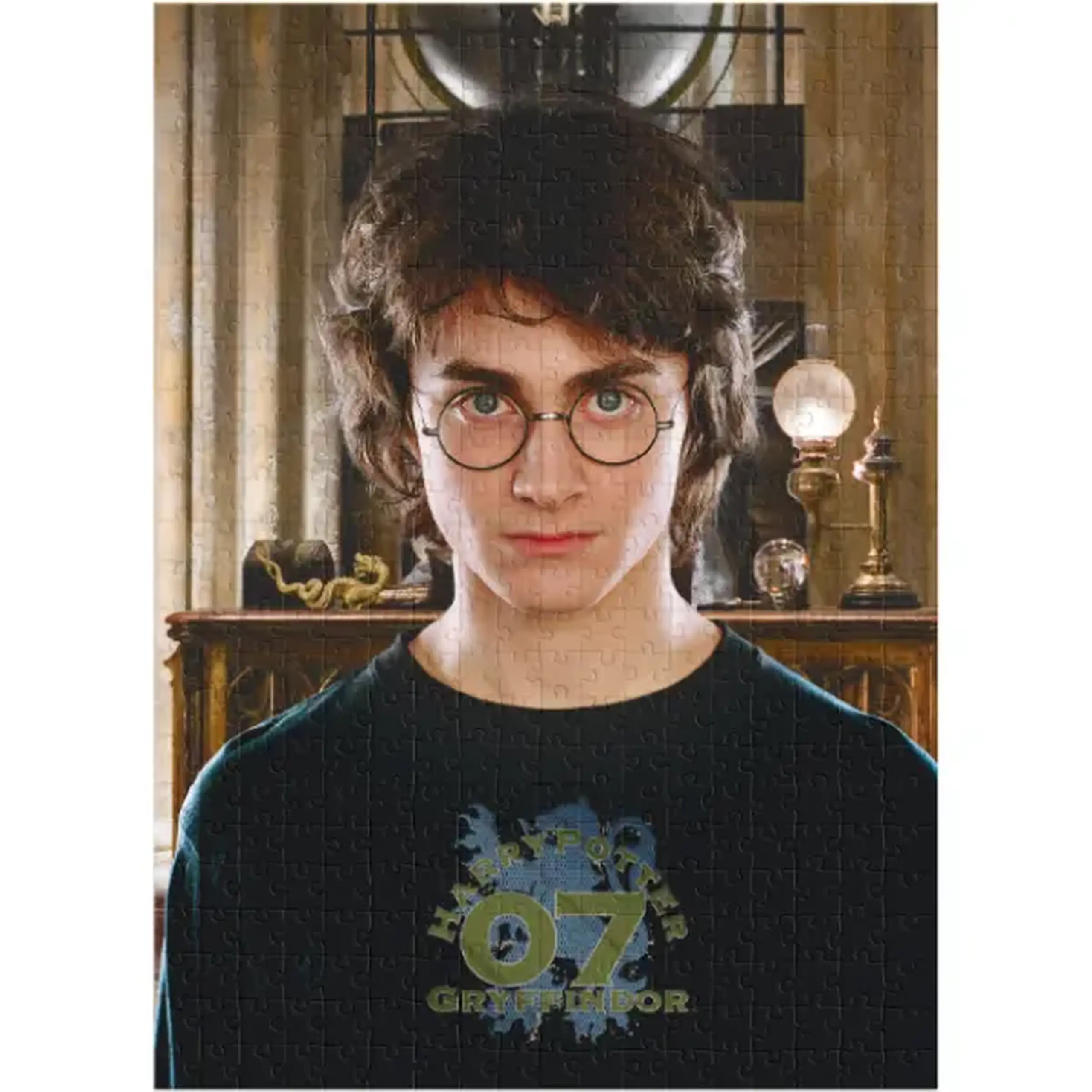 Puzzle "Portretul lui Harry", seria Harry Potter, 450 elem.