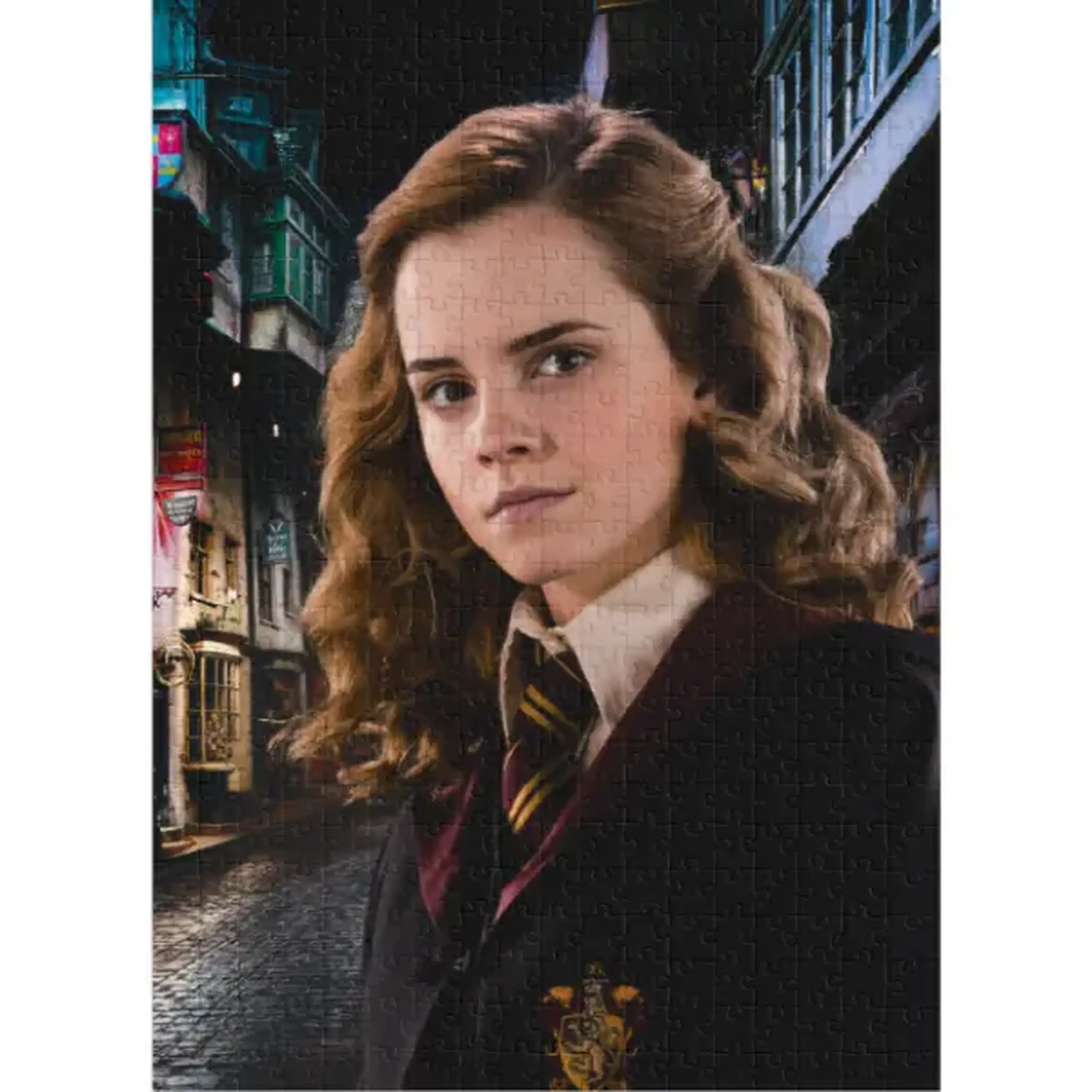 Puzzle "Portretul Hermionei", seria Harry Potter, 450 elem.