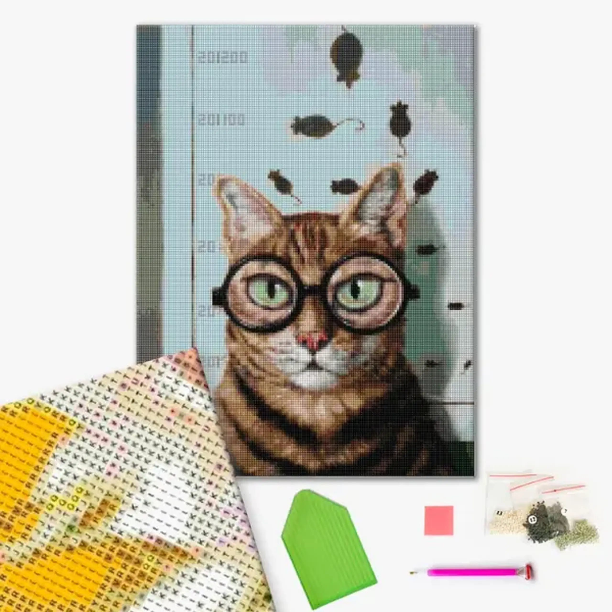 Mozaic cu diamante 40*50 сm (fără cutie) – Testul de vedere al pisicuței, Lucia Heffernan