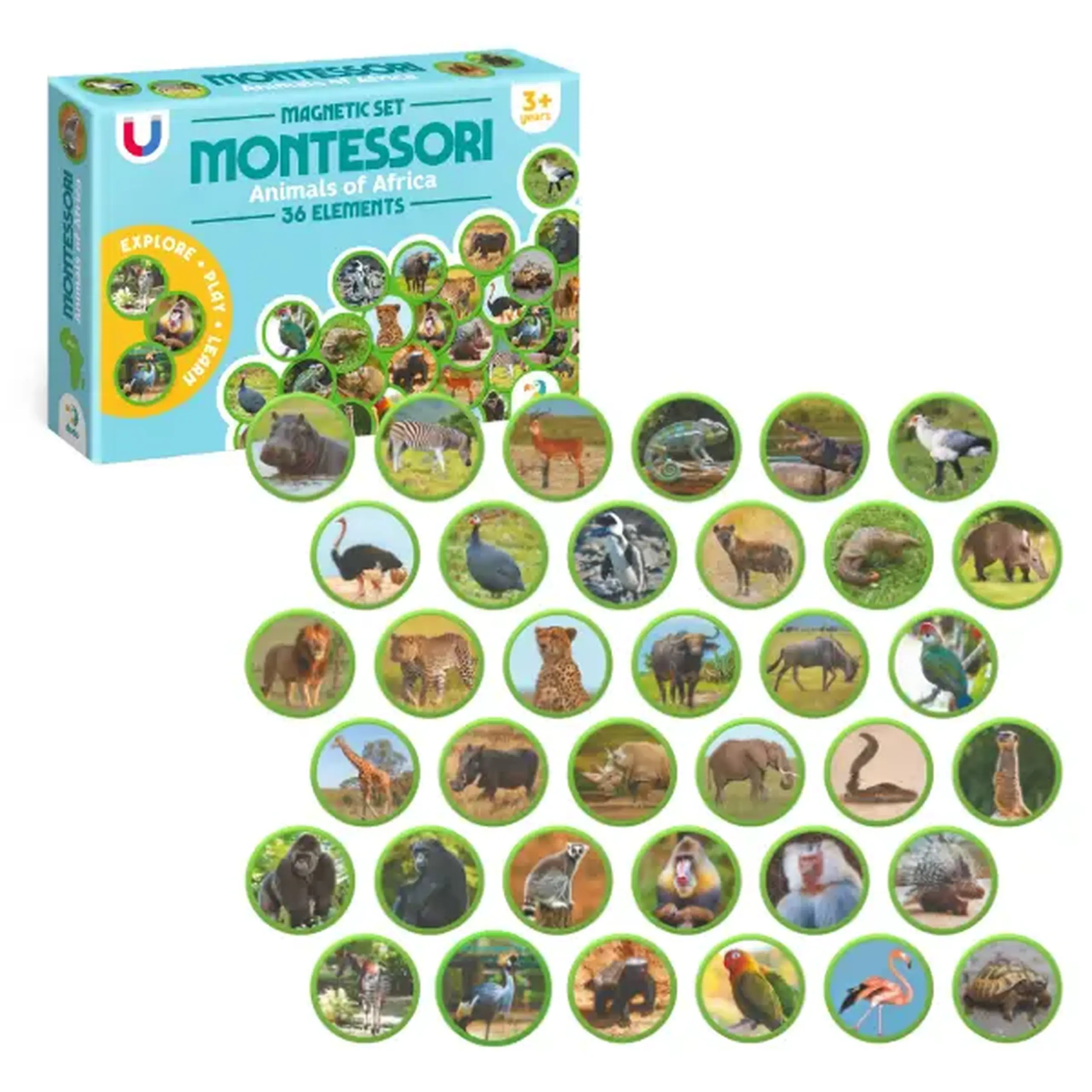 Joc magnetic "Animalele Africii", 36 elem.