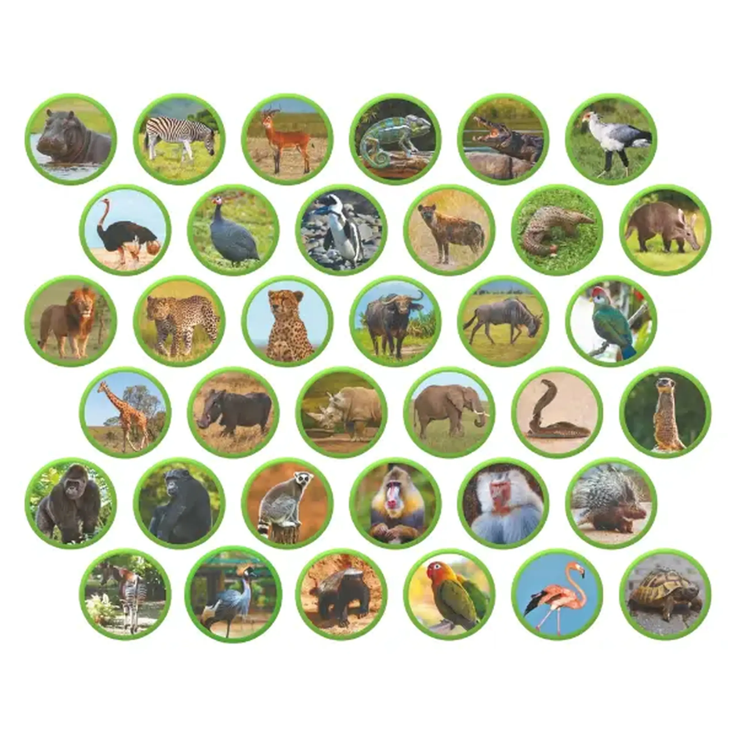 Joc magnetic "Animalele Africii", 36 elem.