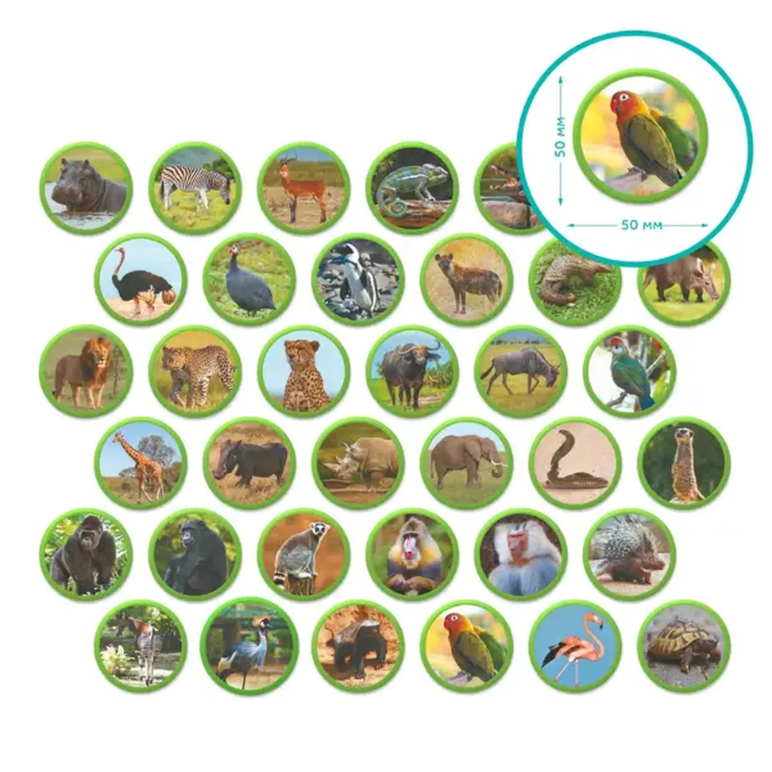 Joc magnetic "Animalele Africii", 36 elem.
