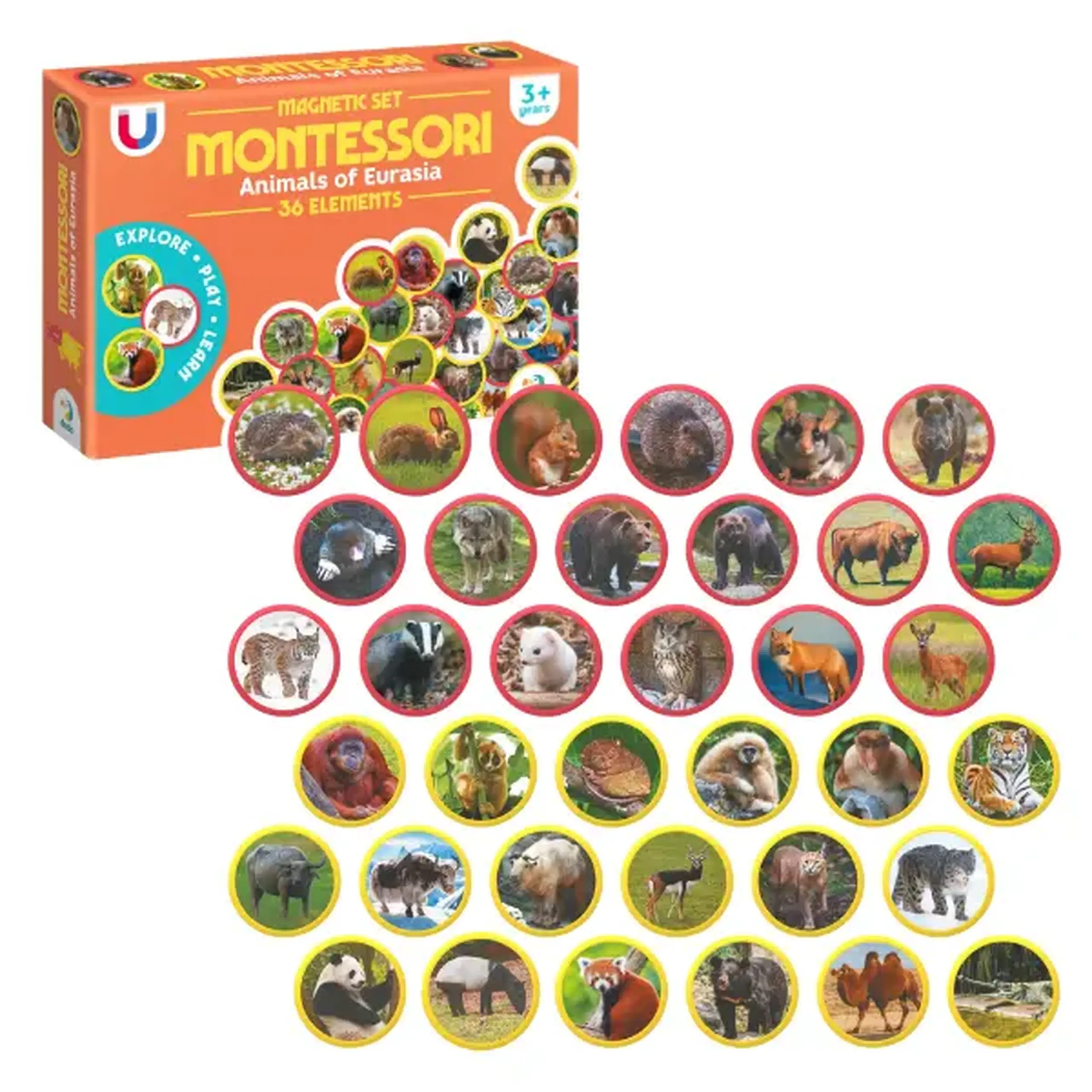 Joc magnetic "Animalele Eurasiei", 36 elem.