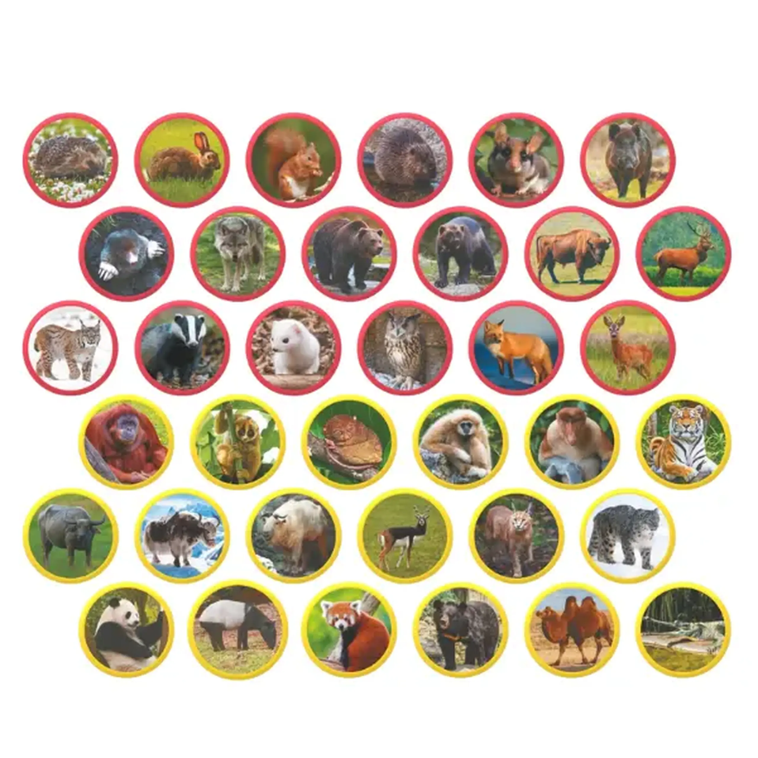 Joc magnetic "Animalele Eurasiei", 36 elem.