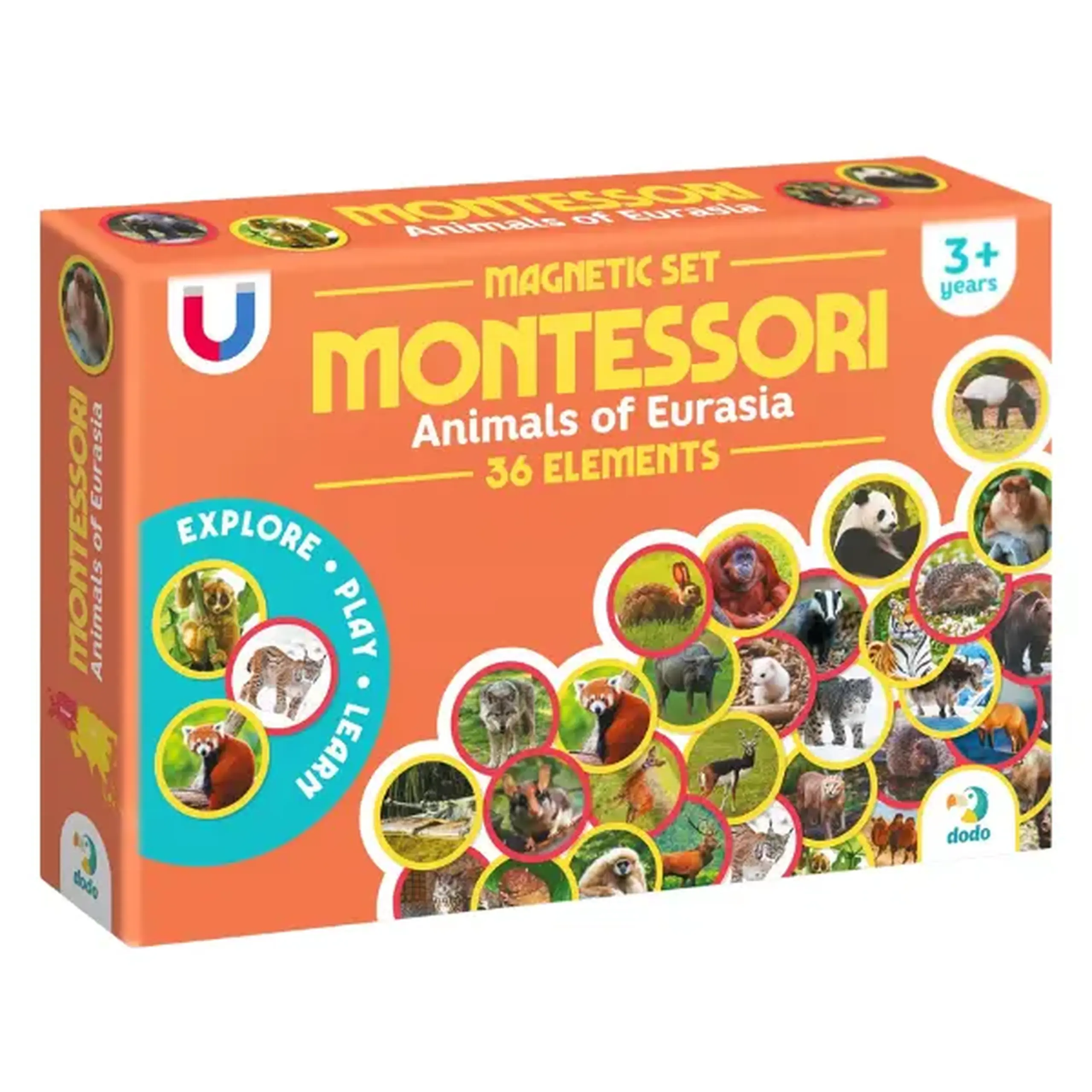 Joc magnetic "Animalele Eurasiei", 36 elem.