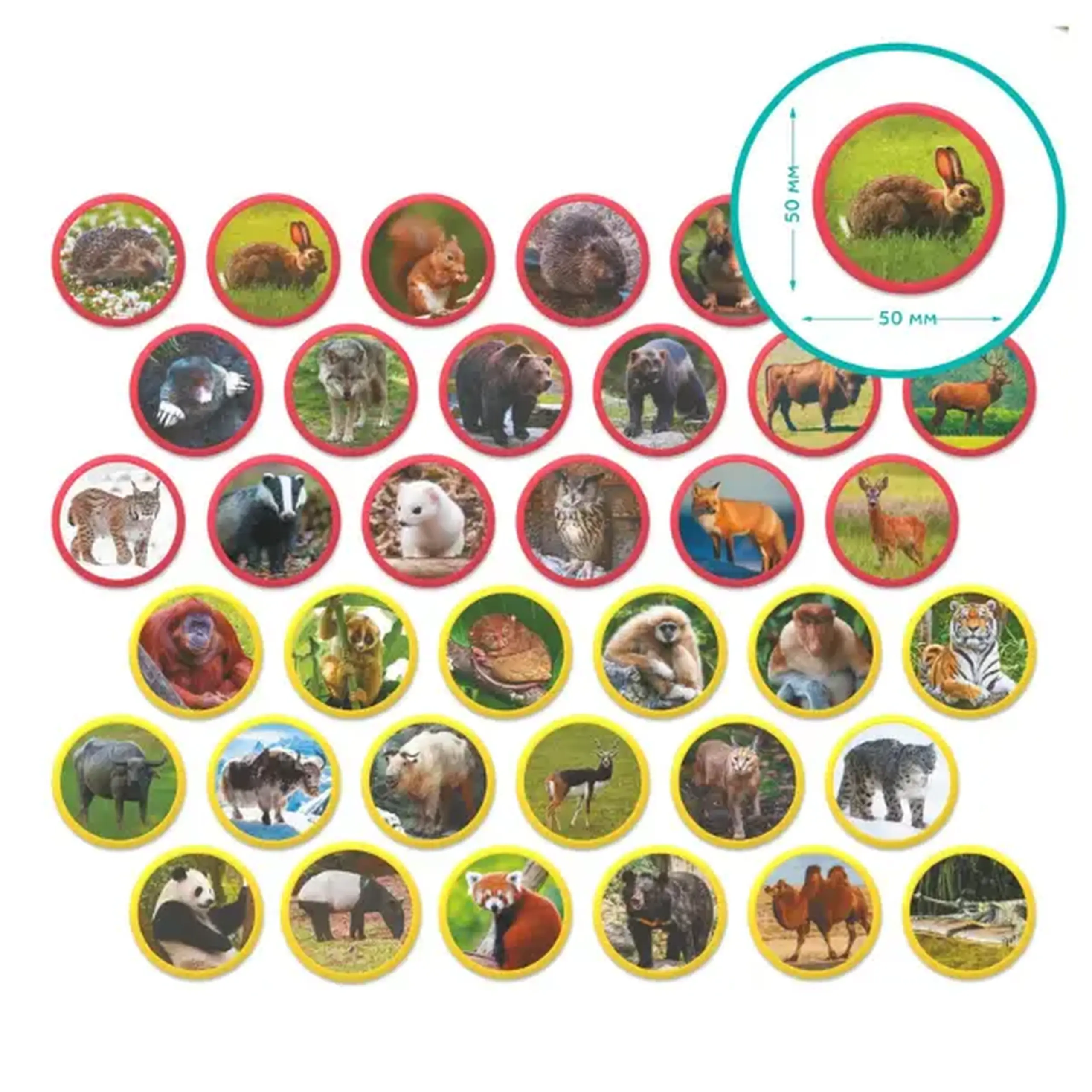 Joc magnetic "Animalele Eurasiei", 36 elem.