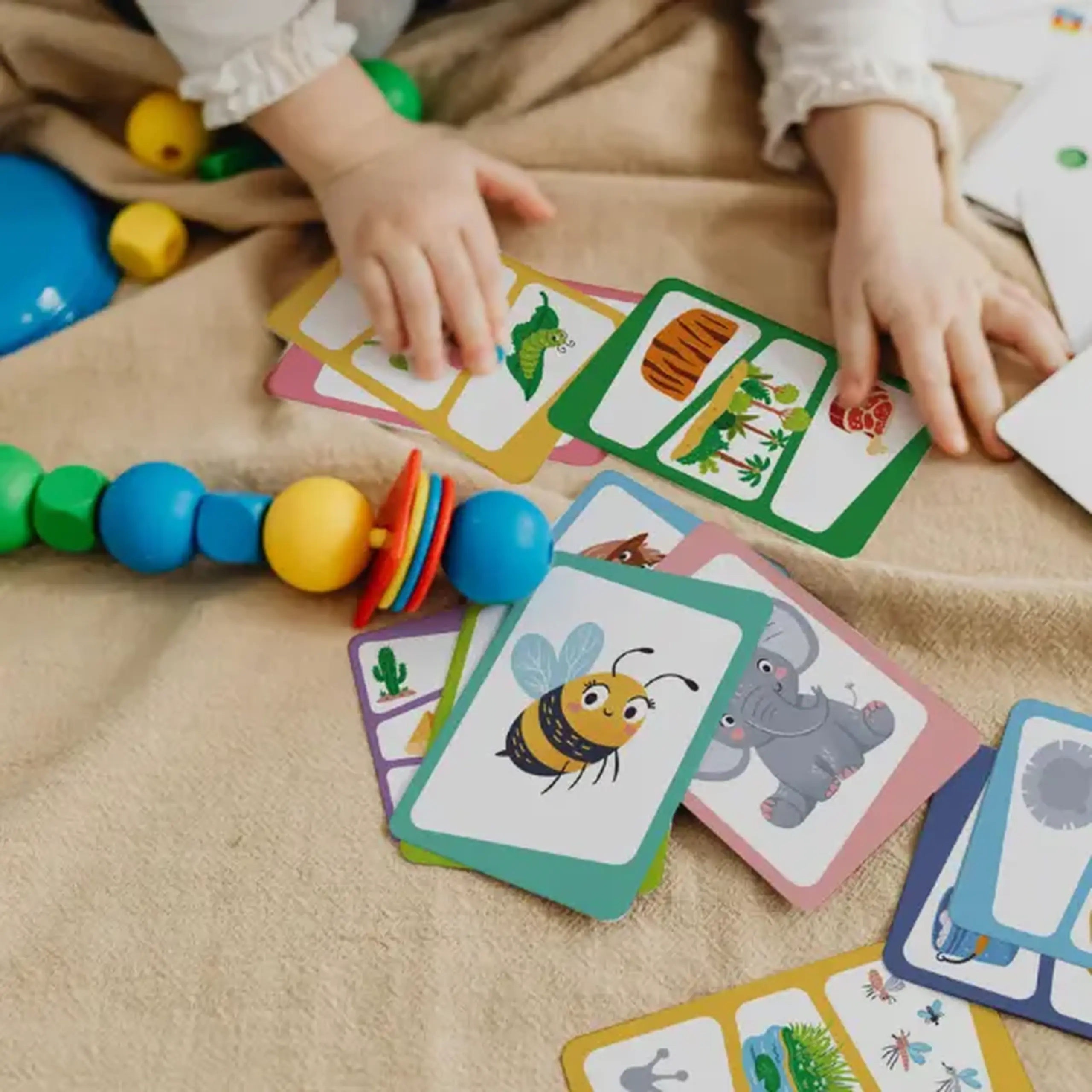Setul educativ de carduri „Ghicește animalul”