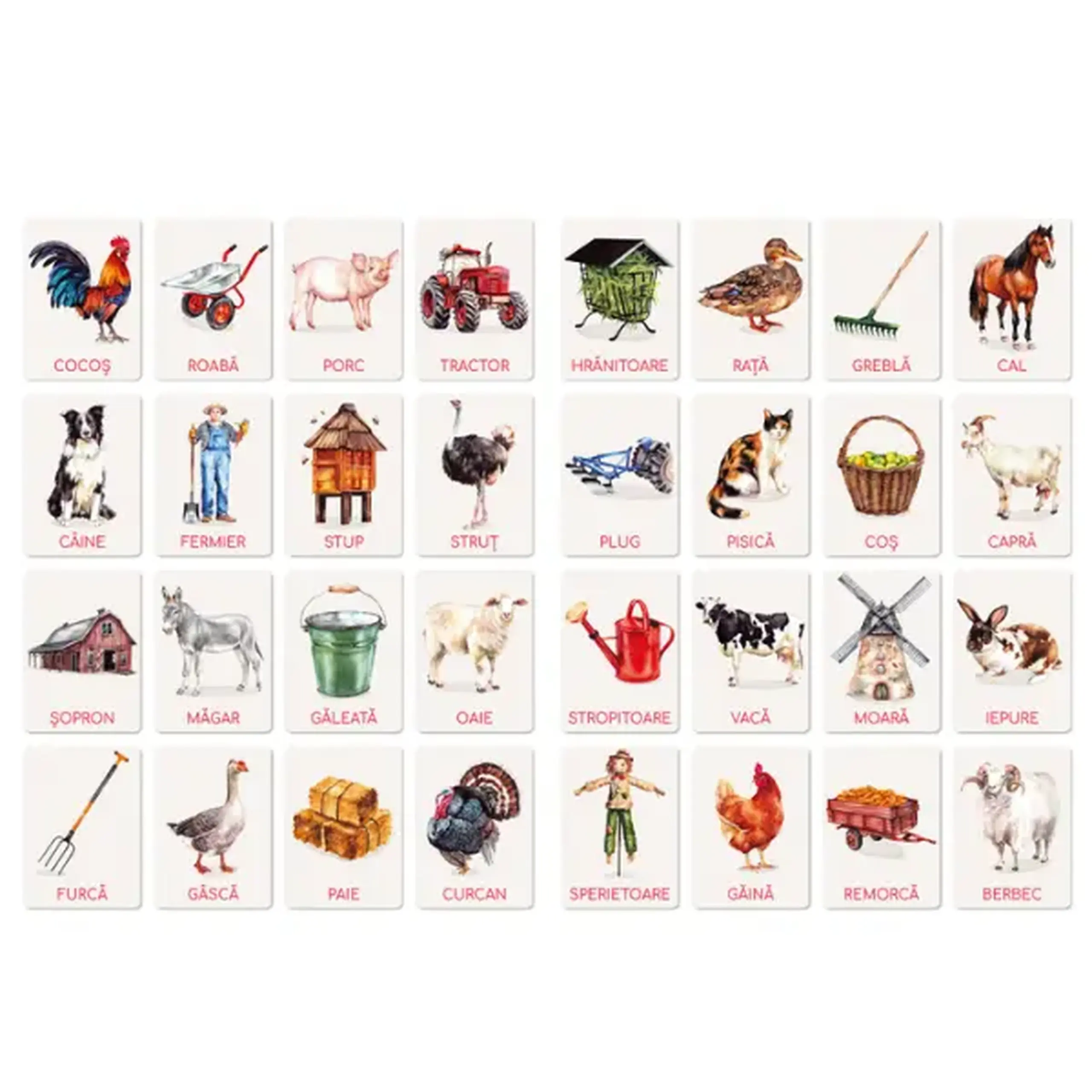 Set de carduri educative Dodo „Ferma” (rom)