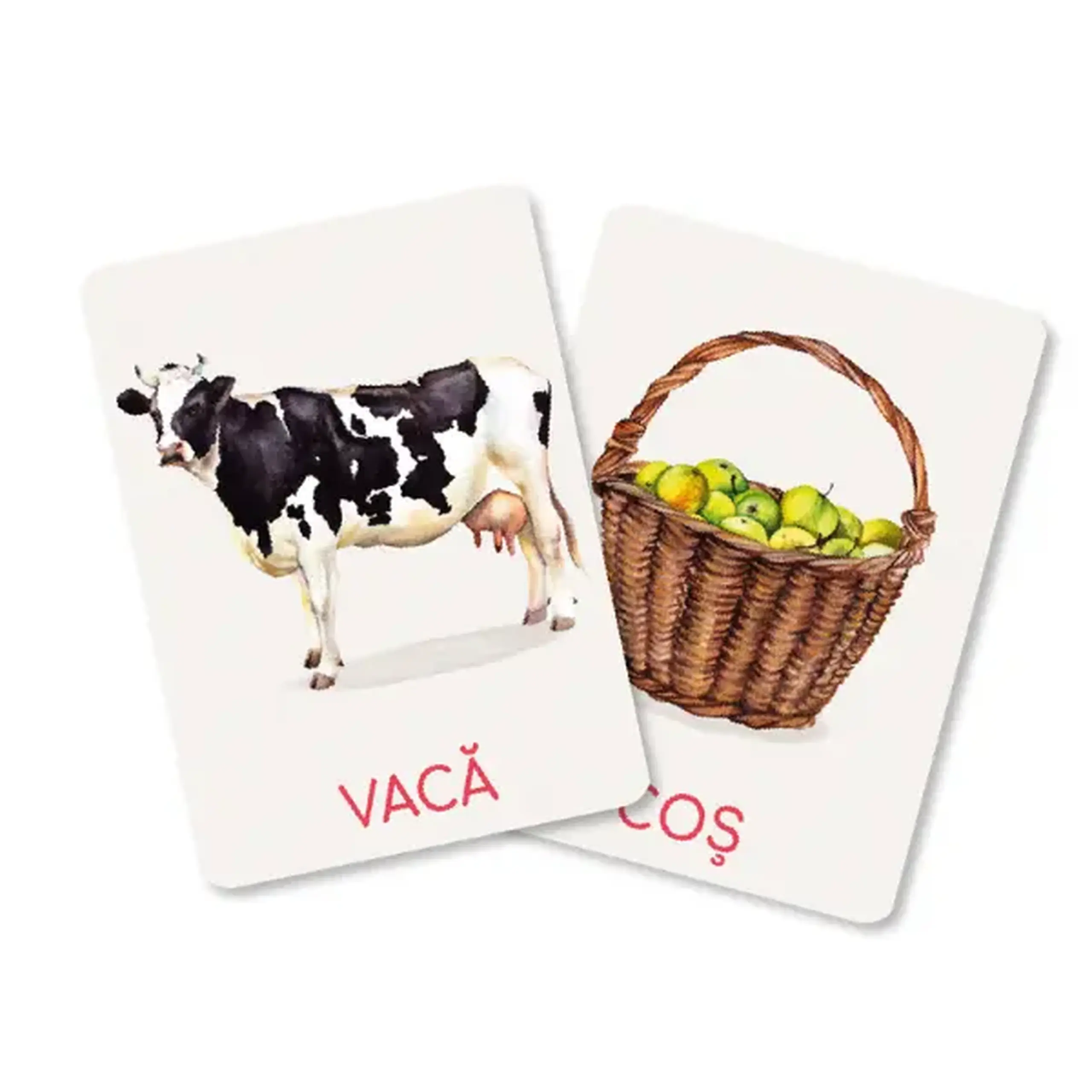 Set de carduri educative Dodo „Ferma” (rom)