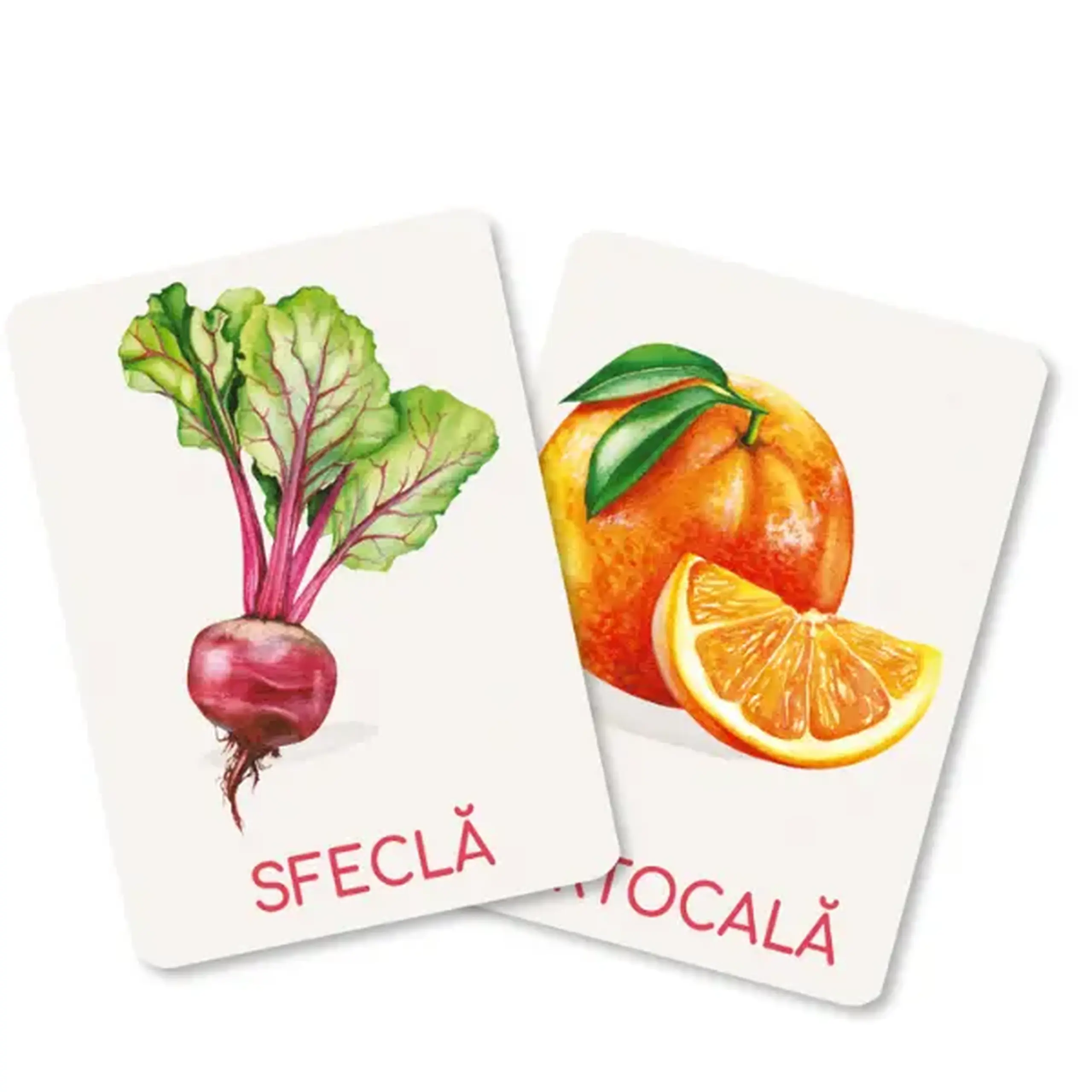 Set de carduri educative Dodo „Legume și fructe” (rom)