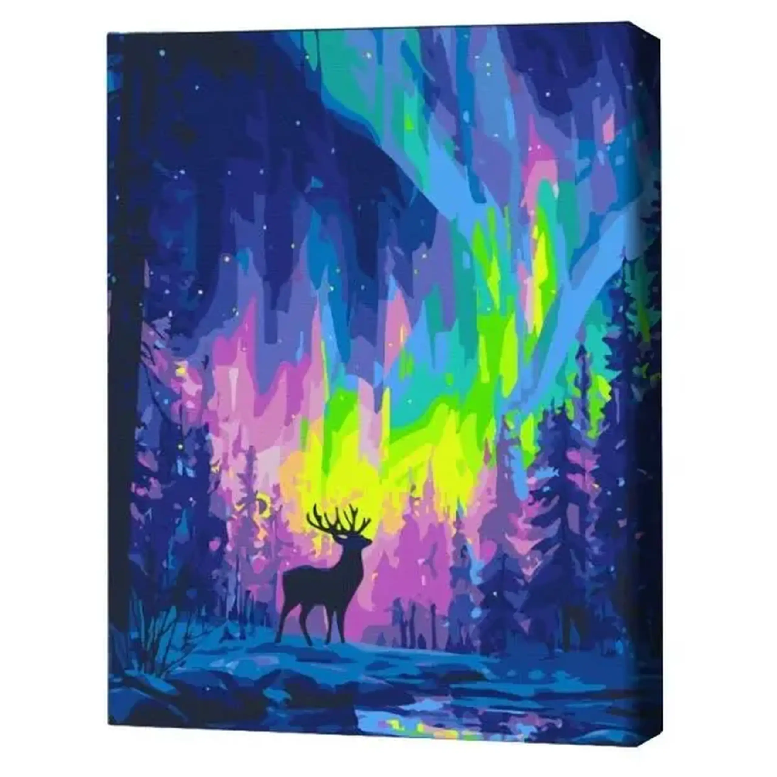 Pictură pe numere 40*50 cm (în cutie) – Aurora polară.
