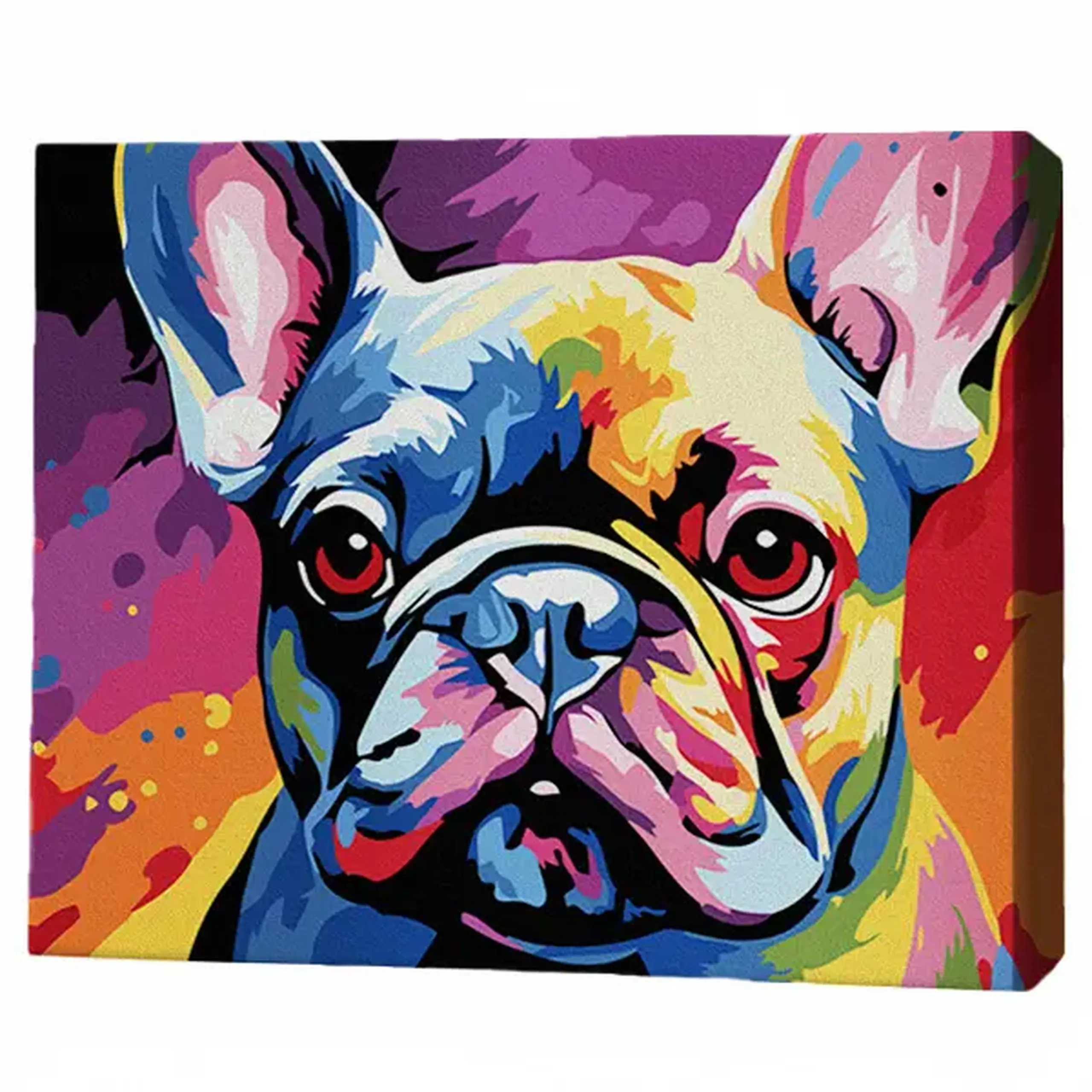 Pictură pe numere 30*40 сm (pânză neagră/fără cutie) – Bulldog colorat