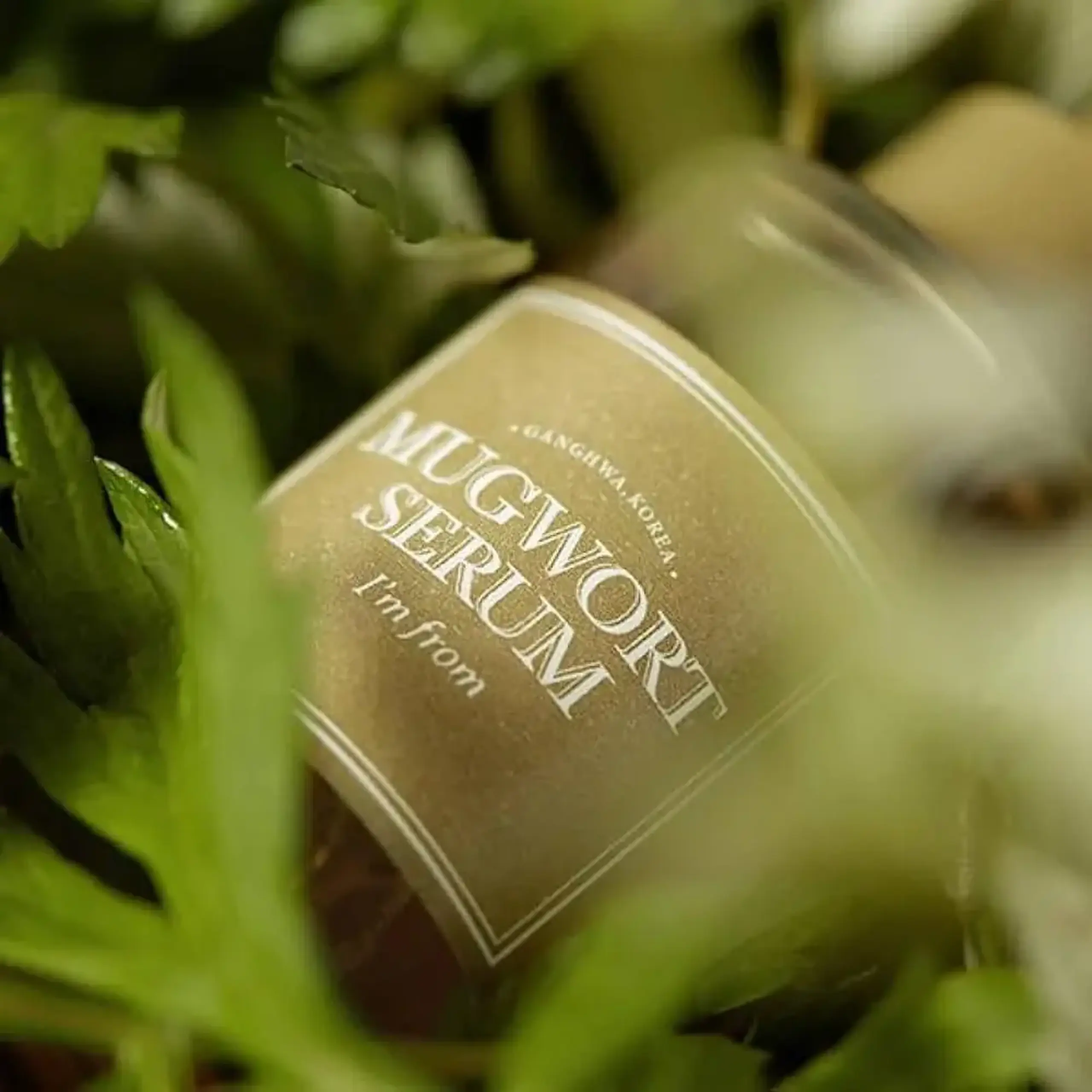 Serum calmant cu extract de pelin I'm From Mugwort Serum 30ml