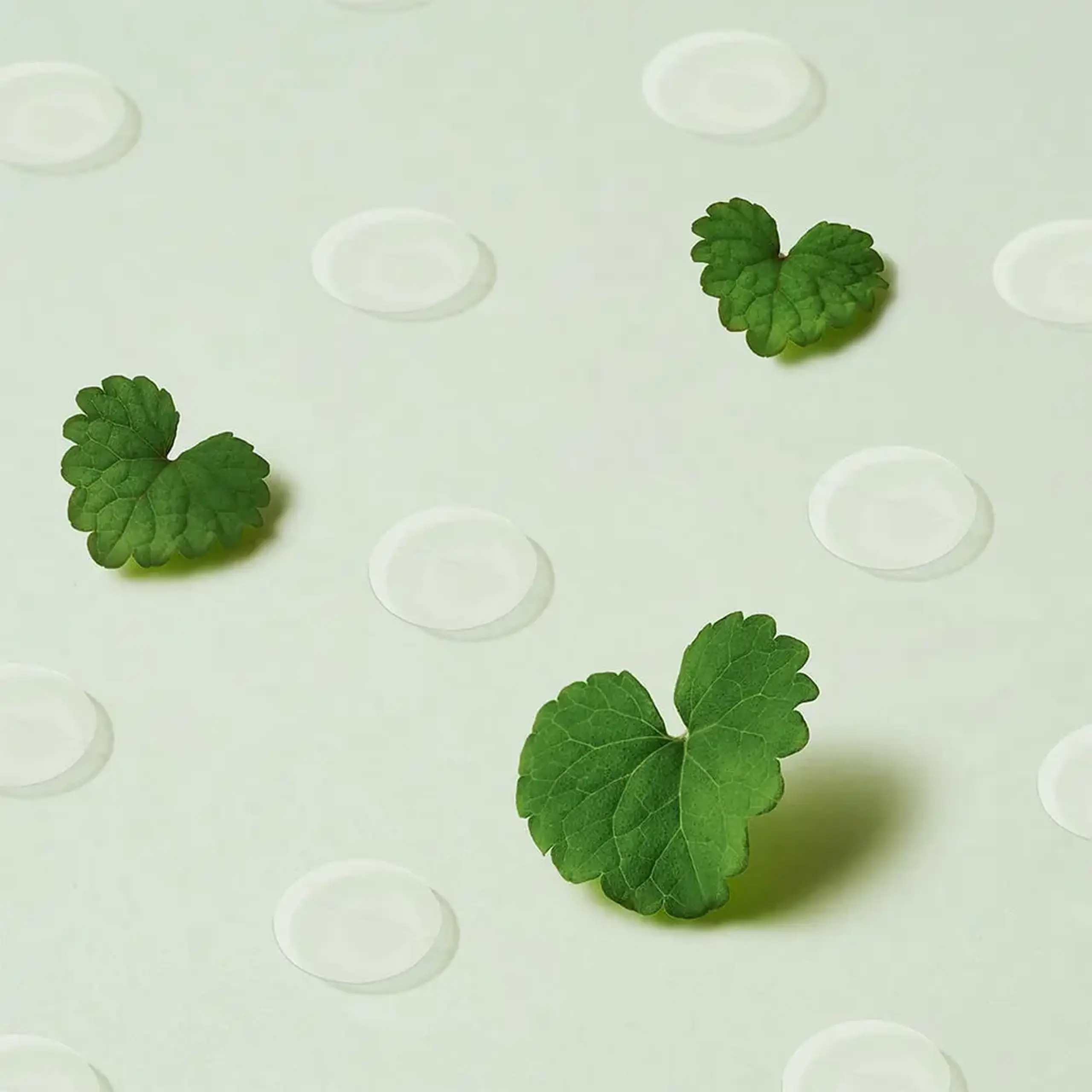 Plasturi transparenți pentru acnee Purito Seoul Wonder Releaf Centella Spot Patch 51pcs