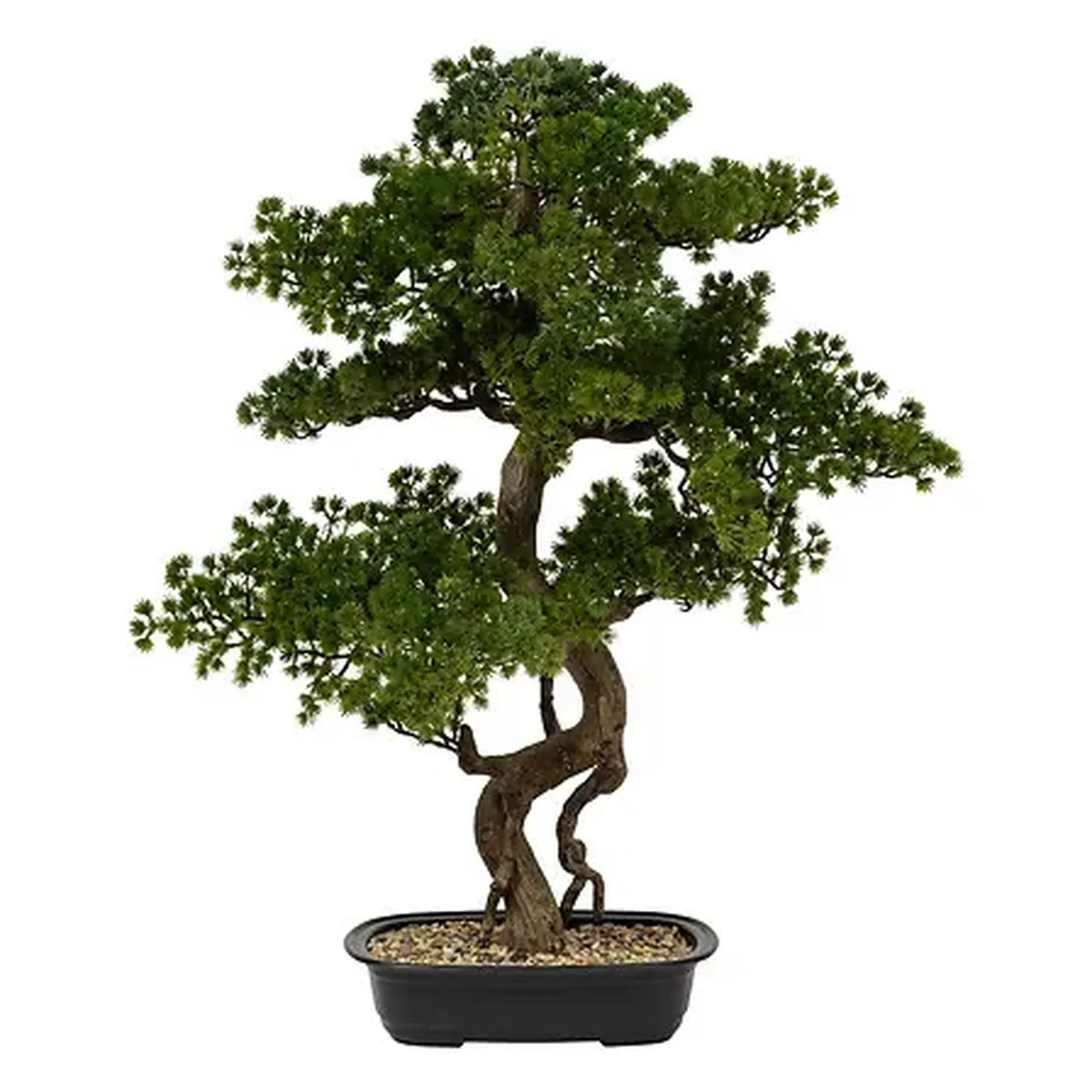 Bonsai cu ghiveci H86